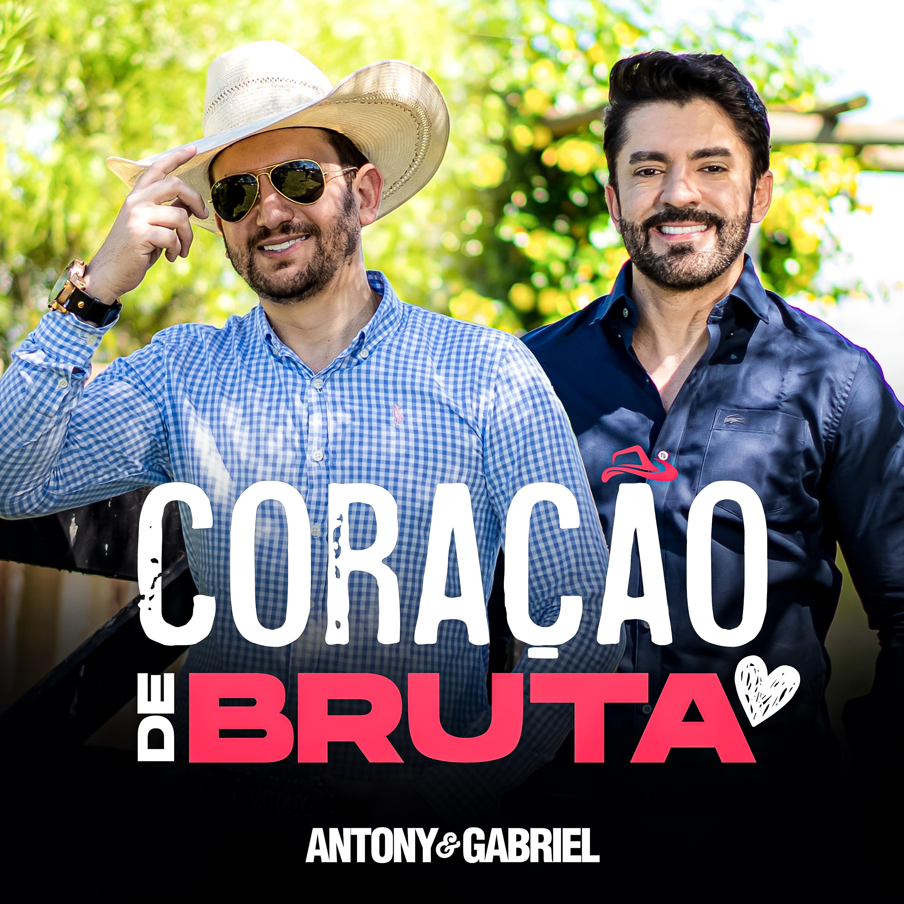 Постер альбома Coração de Bruta