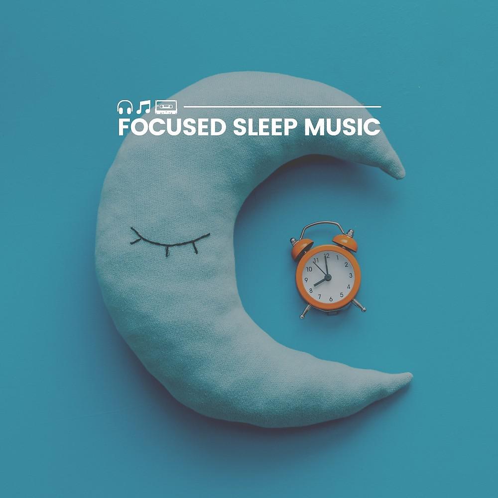 Постер альбома Focused Sleep Music