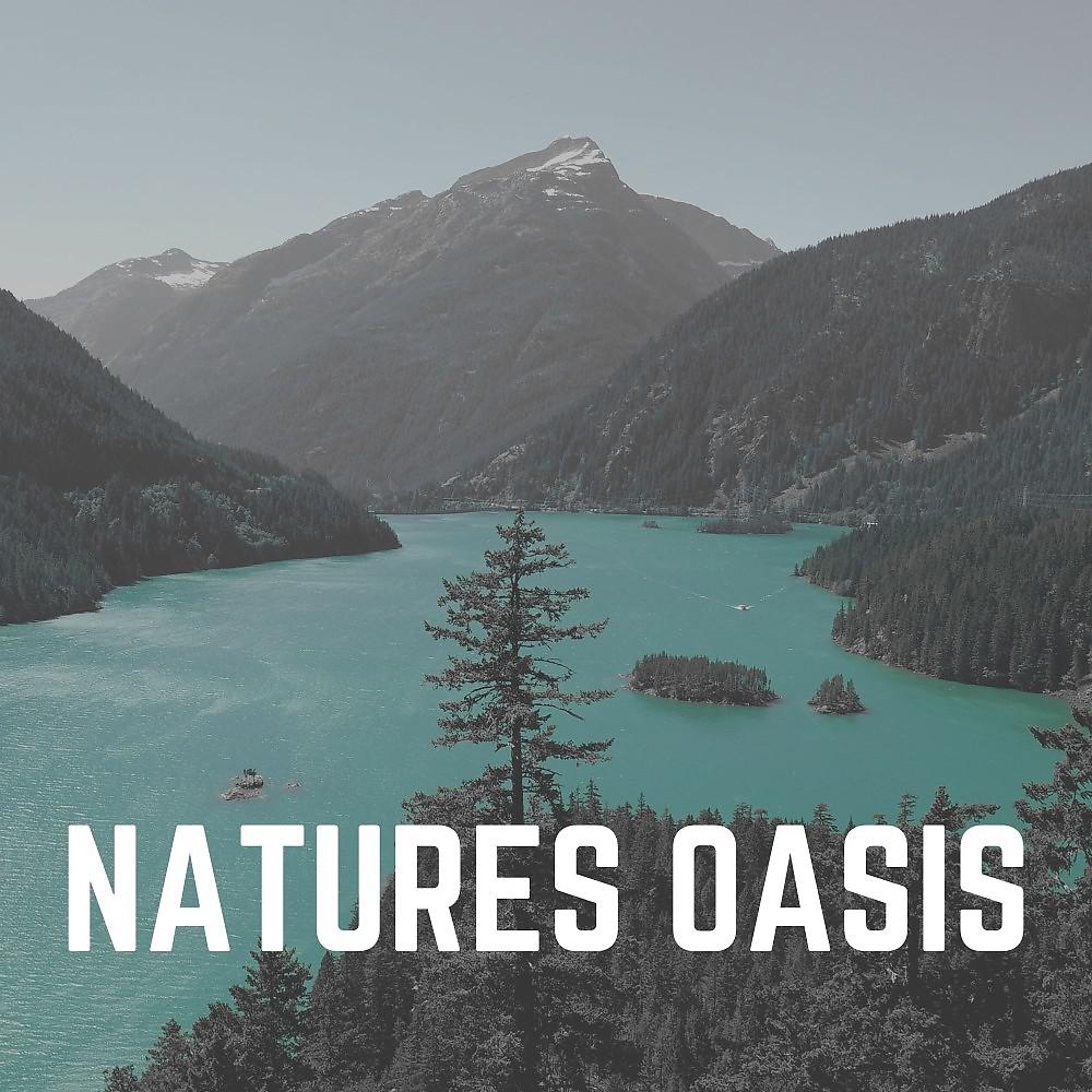 Постер альбома Natures Oasis
