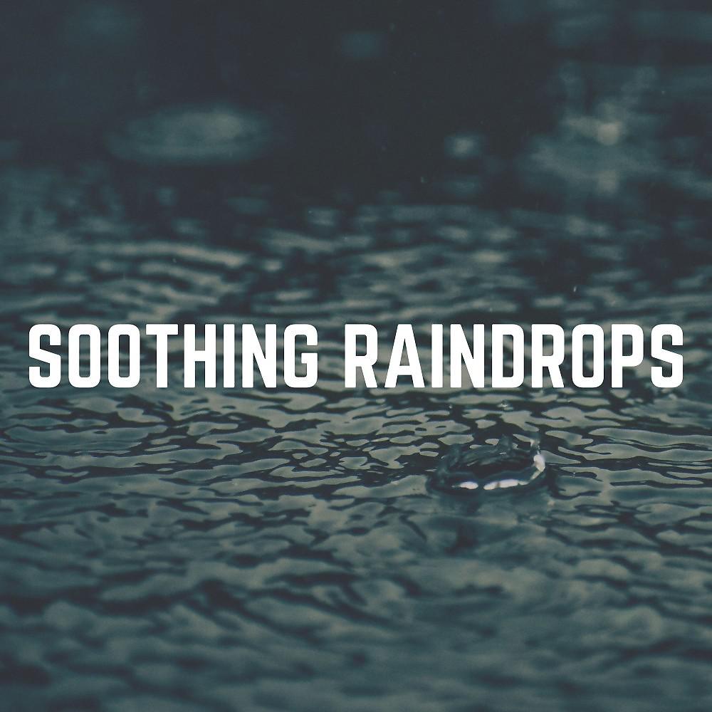 Постер альбома Soothing Raindrops