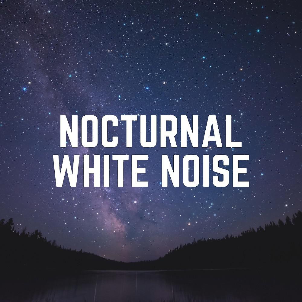 Постер альбома Nocturnal White Noise