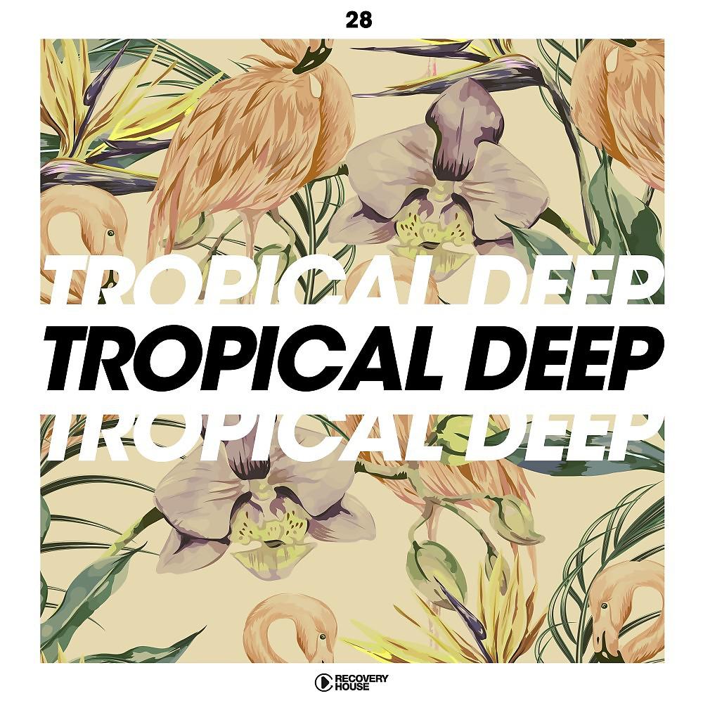 Постер альбома Tropical Deep, Vol. 28