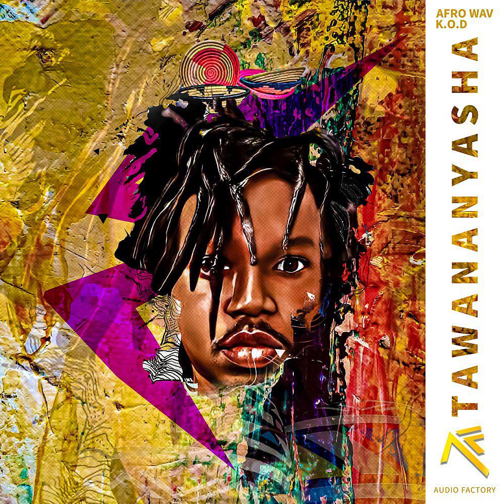 Постер альбома Tawananyasha