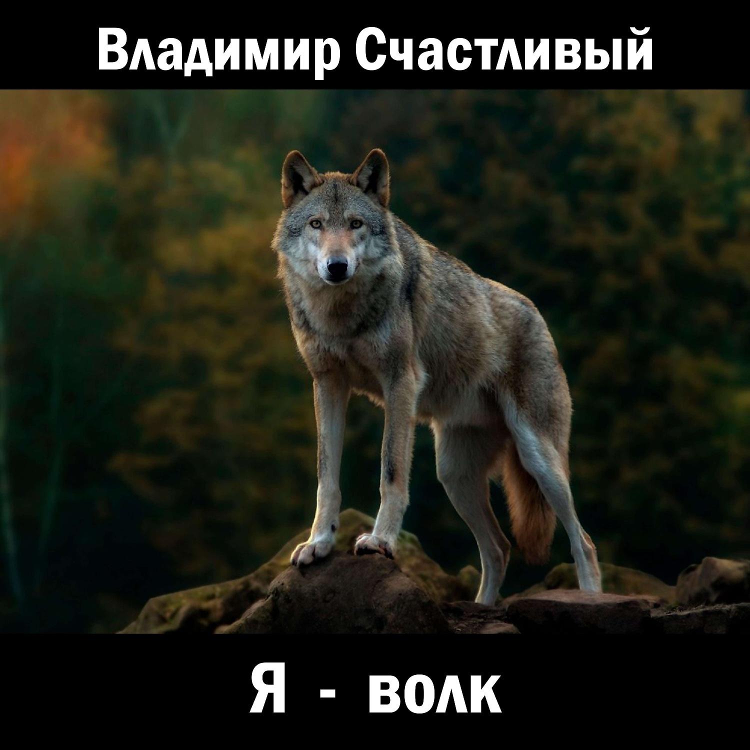 Постер альбома Я - волк