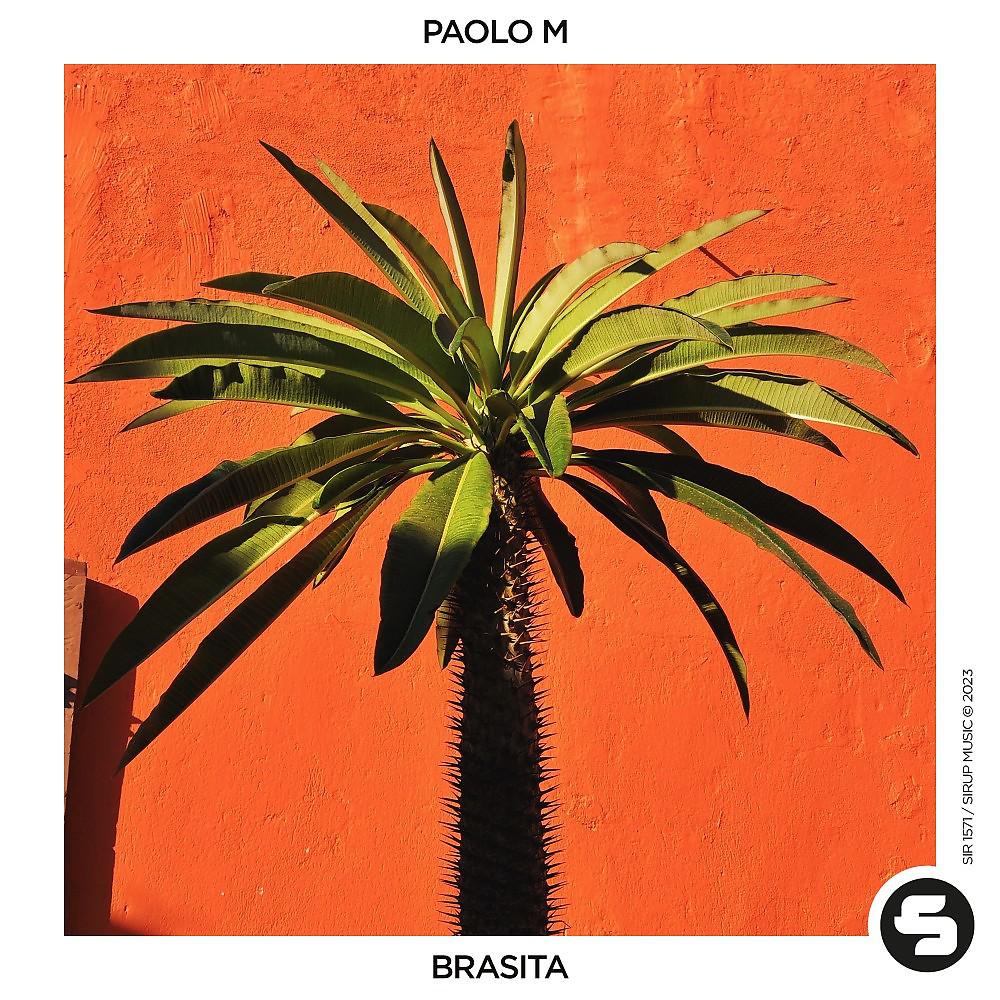 Постер альбома Brasita