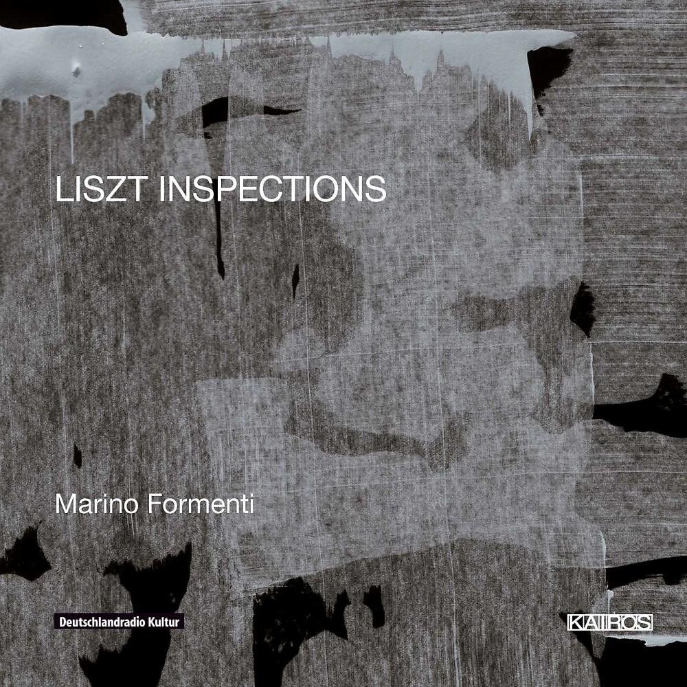 Постер альбома Liszt Inspections