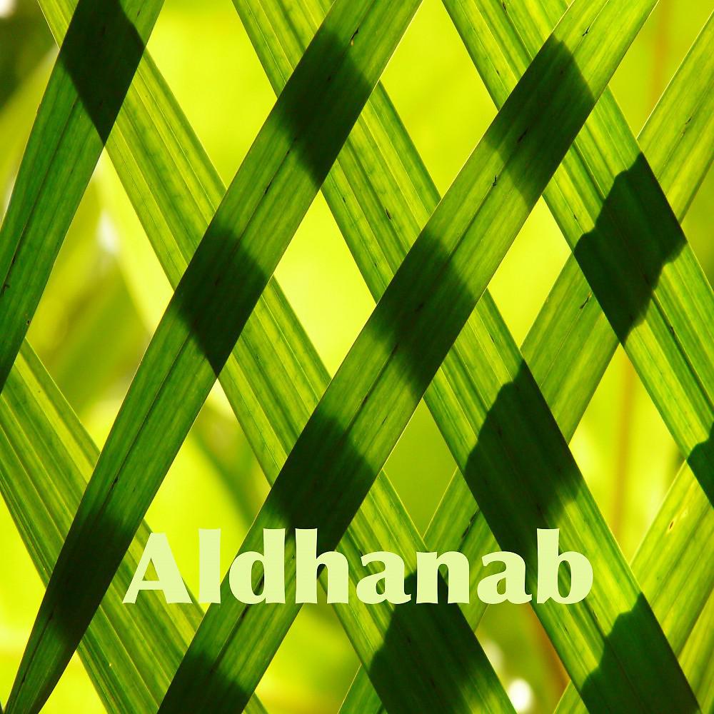 Постер альбома Aldhanab