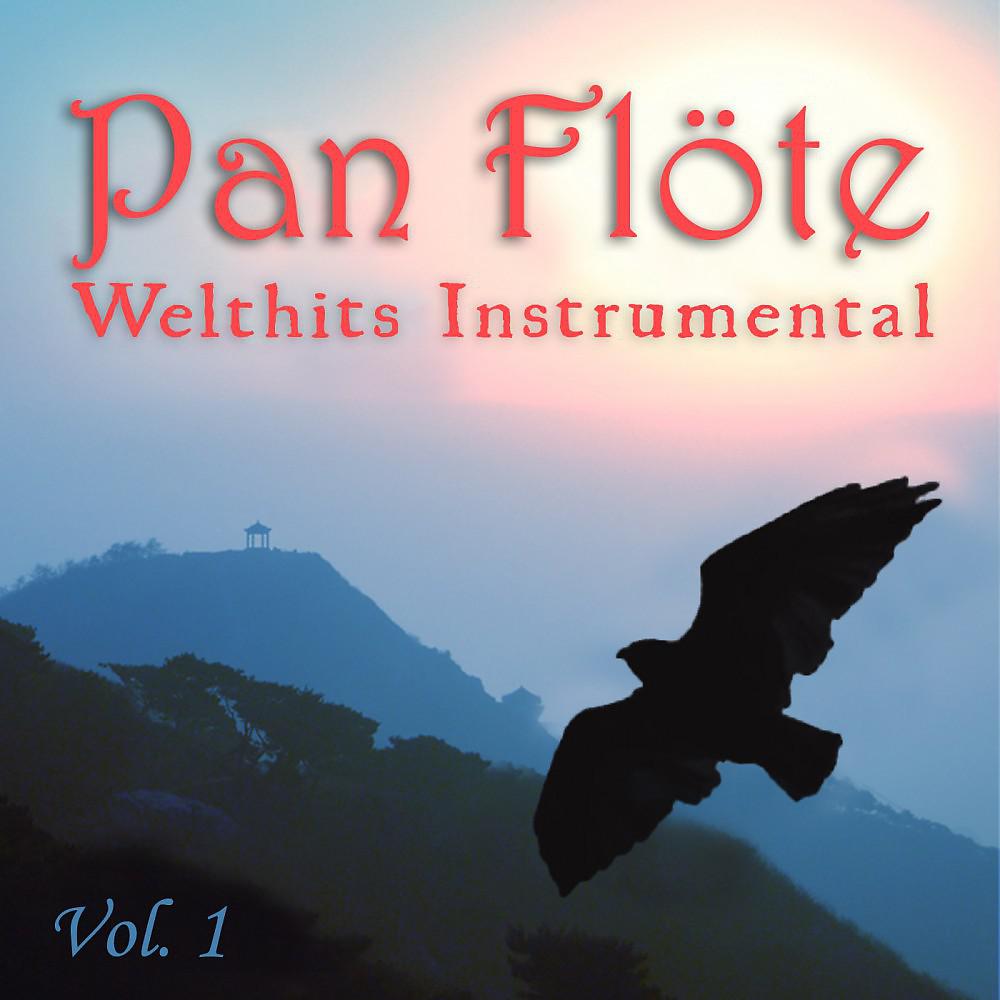Постер альбома Welthits Instrumental, Vol. 1