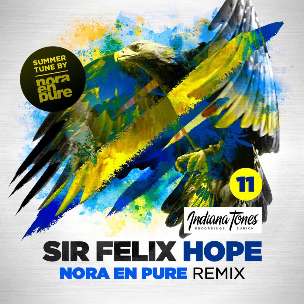 Постер альбома Hope (Nora En Pure Remix)