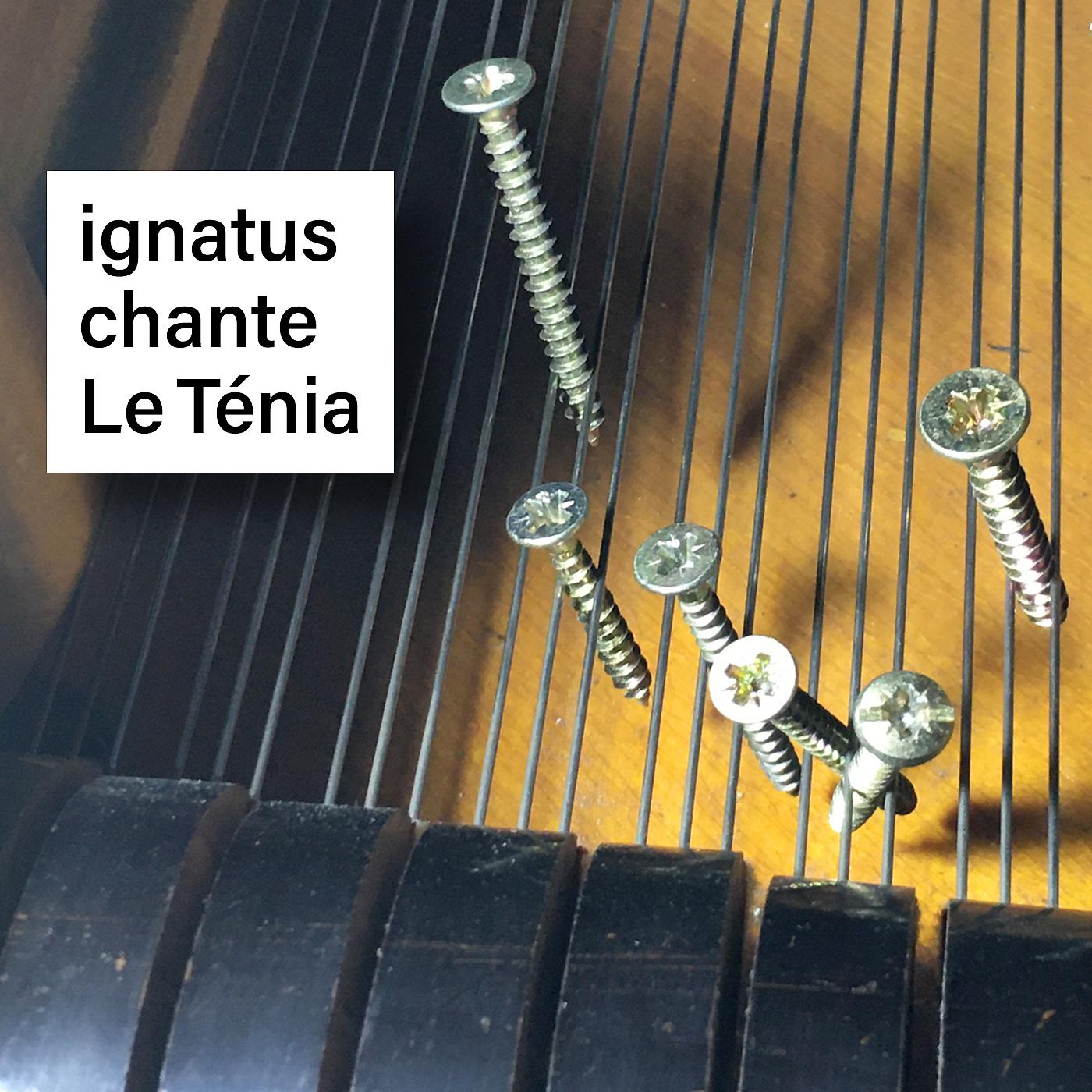 Постер альбома ignatus chante Le Ténia