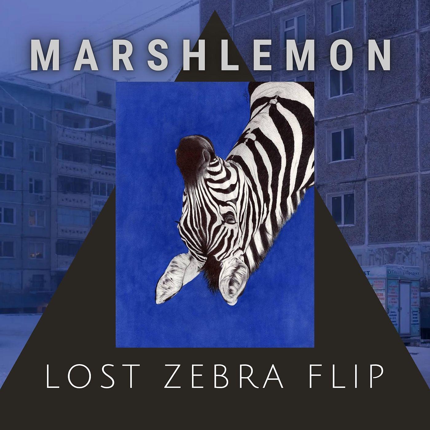 Постер альбома Lost Zepra Flip