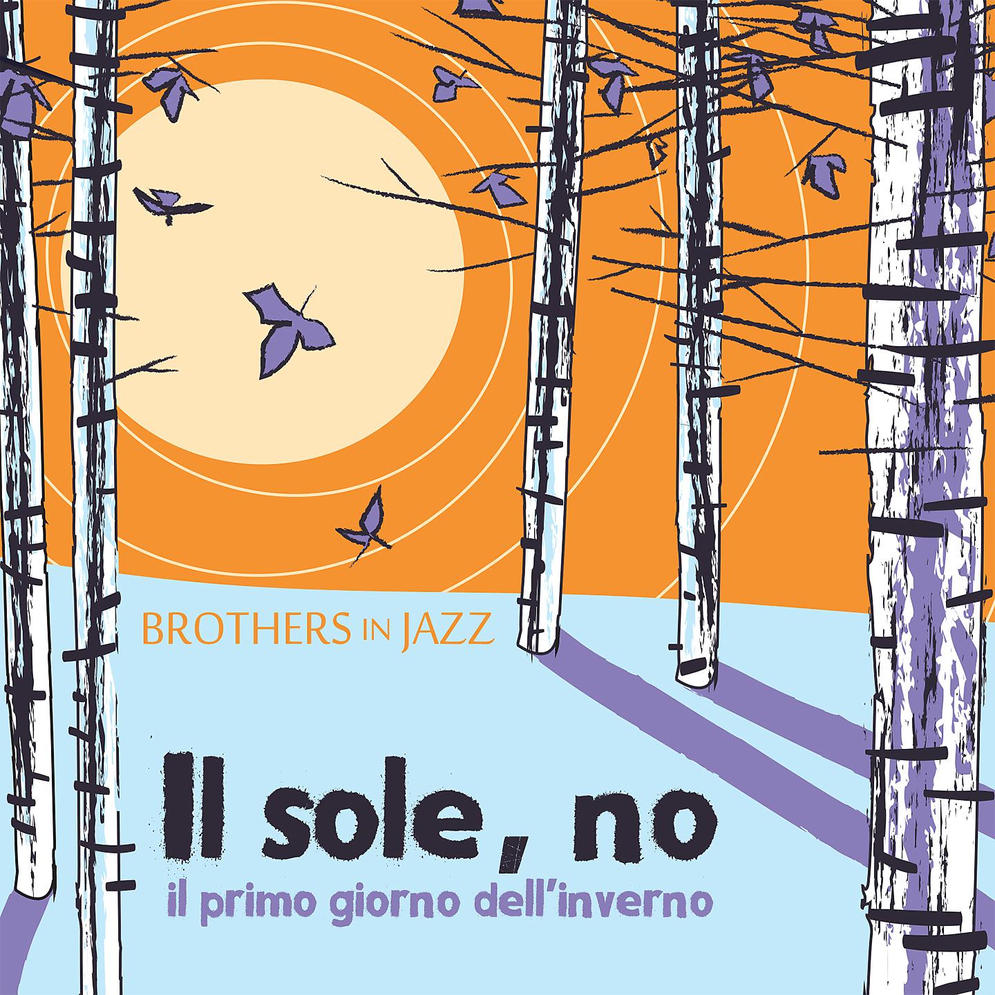 Постер альбома Il sole, no