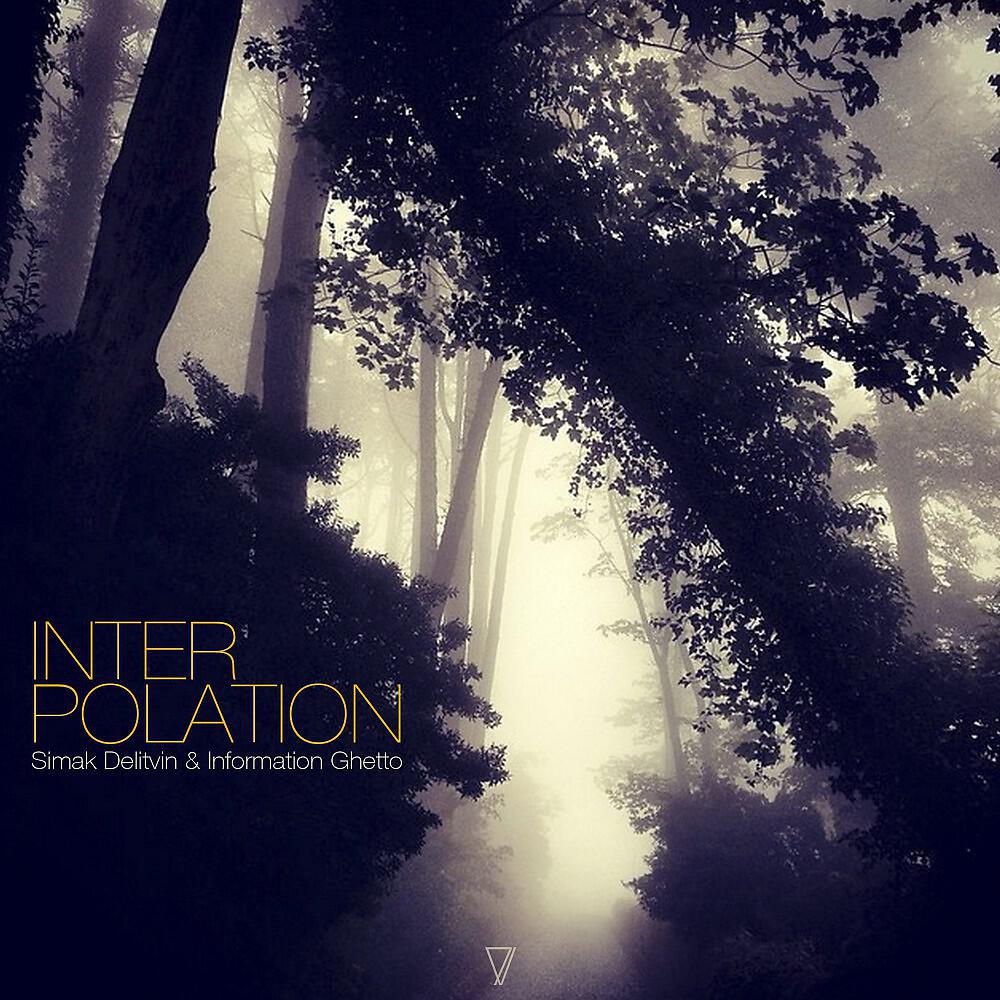 Simak Delitvin & Information Ghetto - Polyphonic Archetype