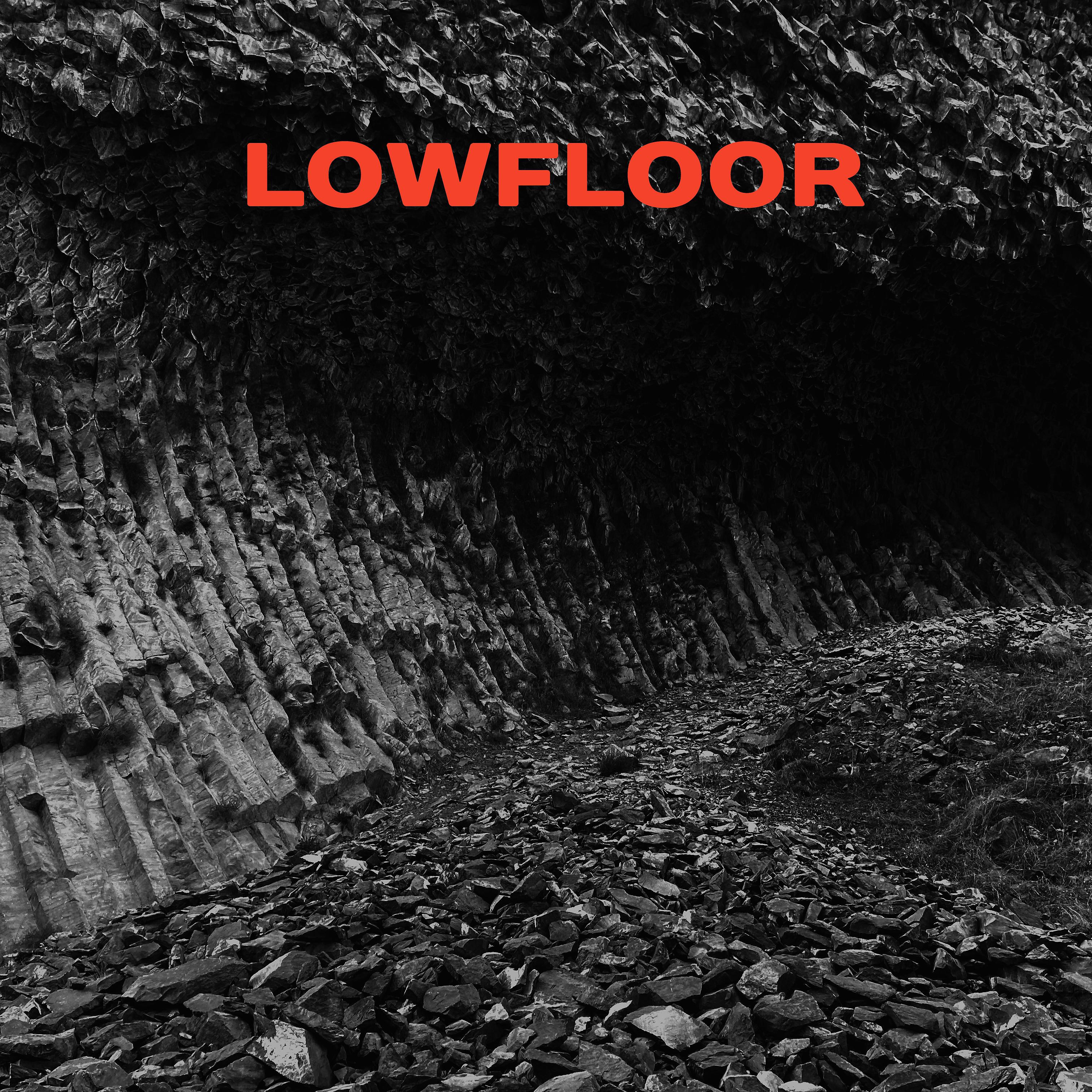 Постер альбома Lowfloor