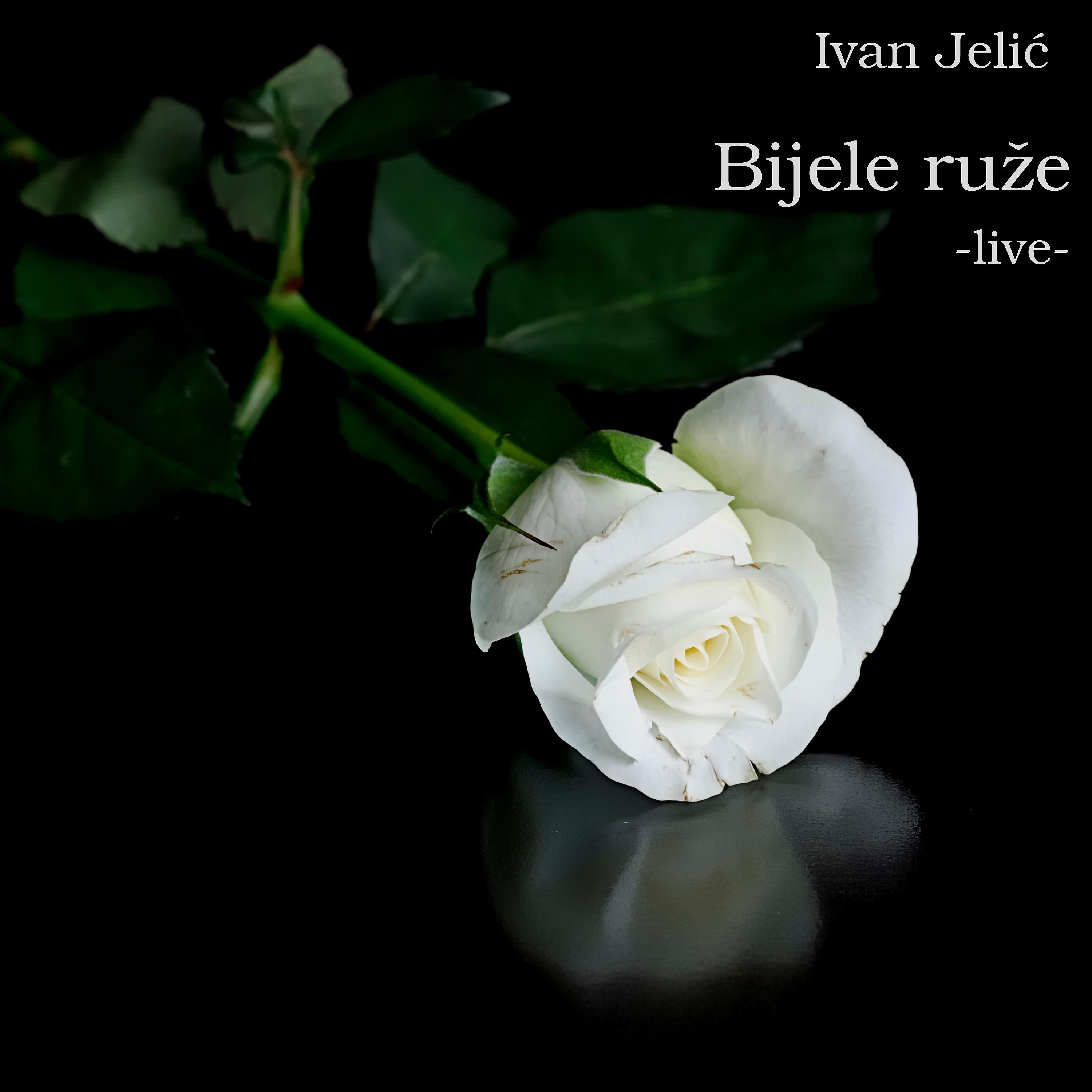 Постер альбома Bijele ruže