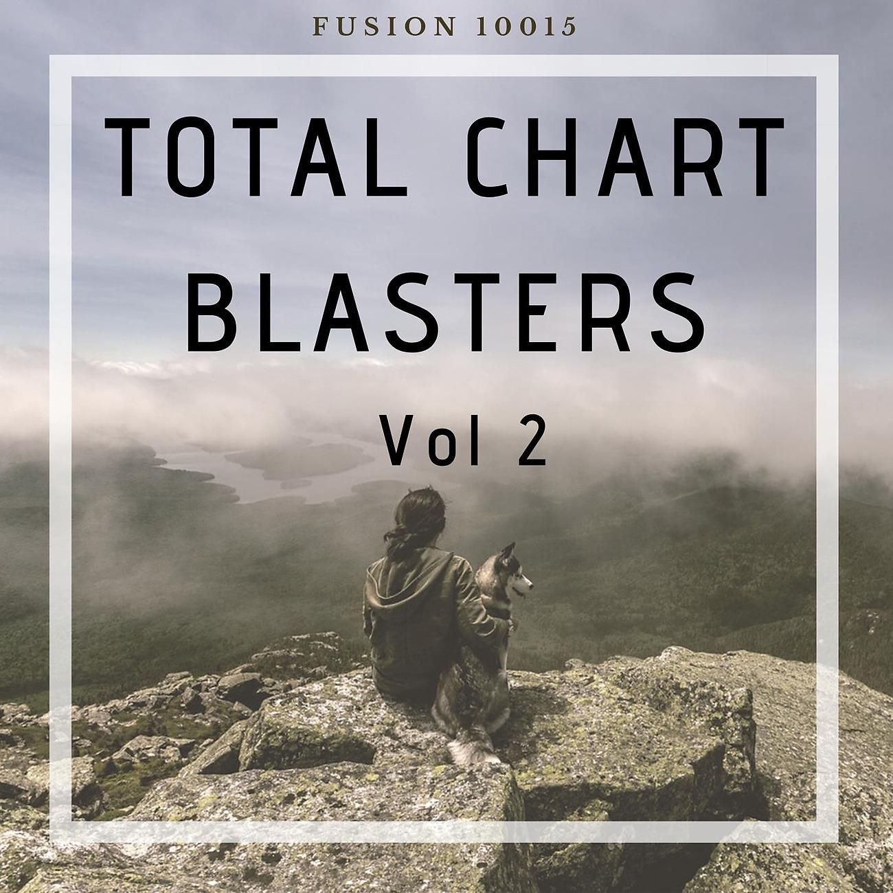 Постер альбома Total Chart Blasters Vol 2