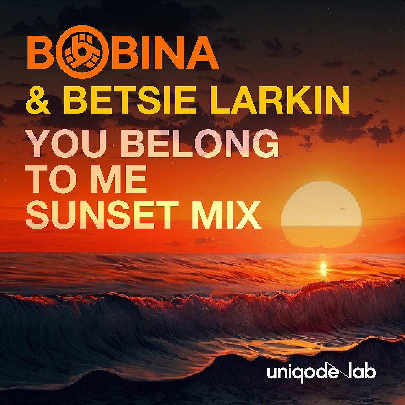 Постер альбома You Belong to Me (Sunset Mix)
