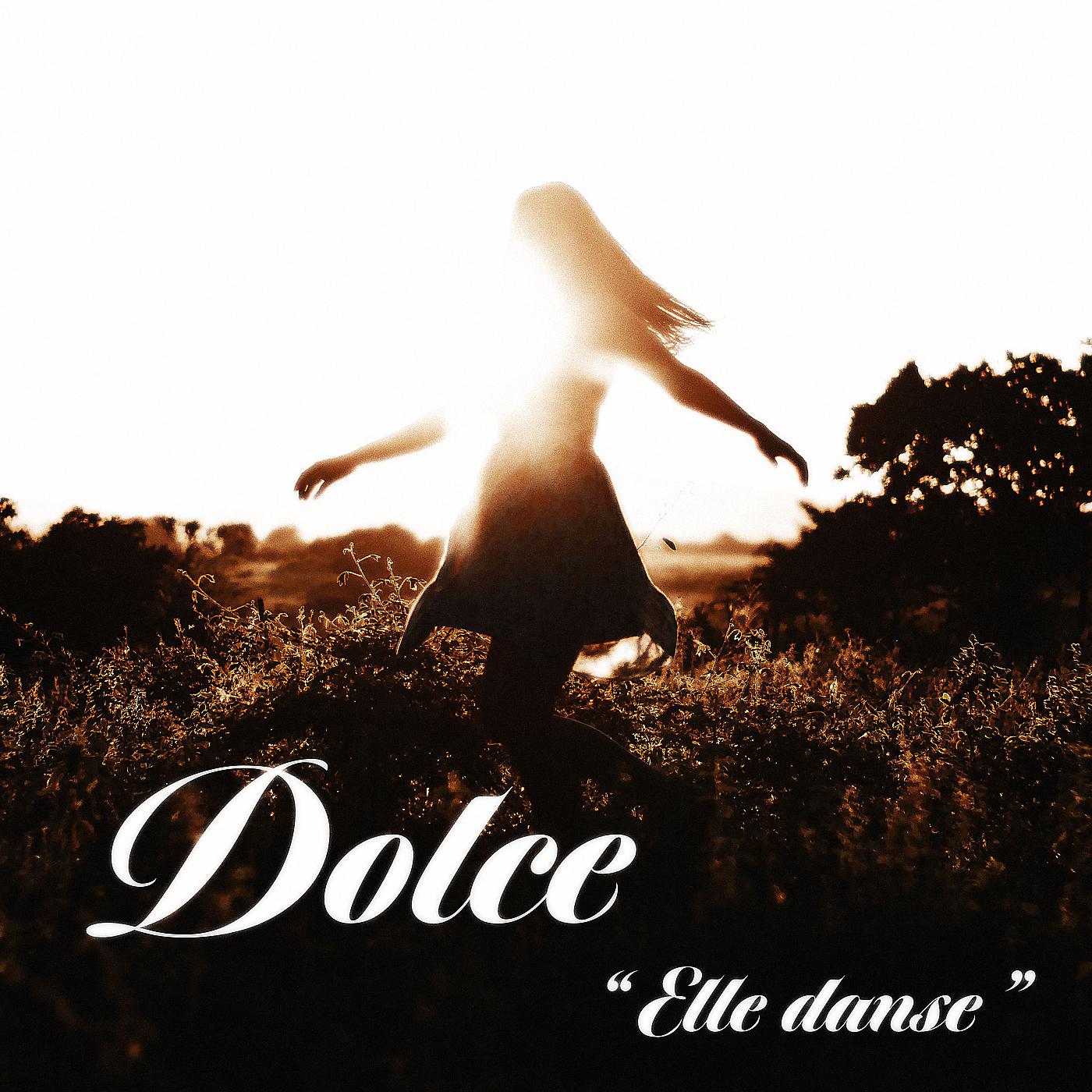 Постер альбома Elle danse