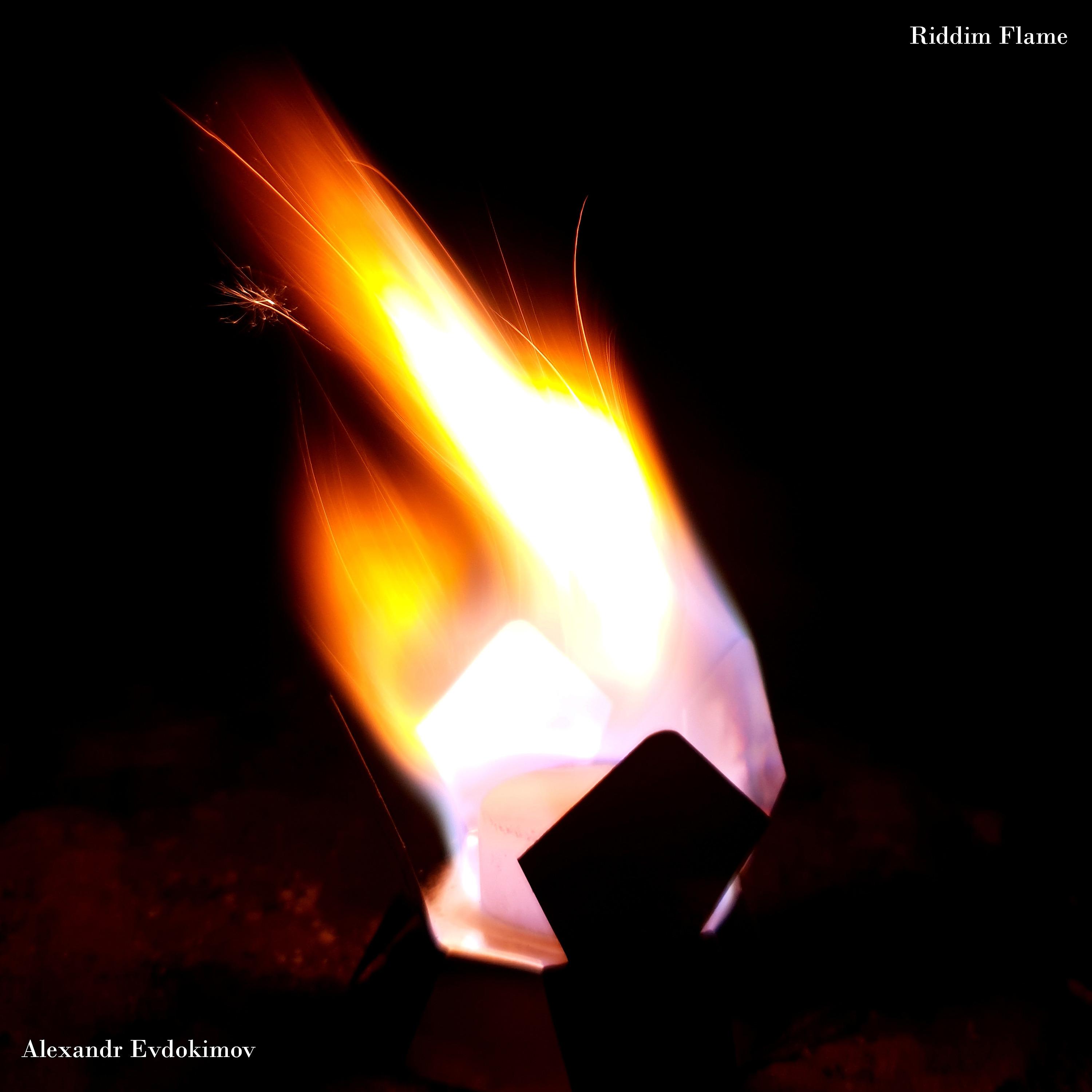 Постер альбома Riddim Flame