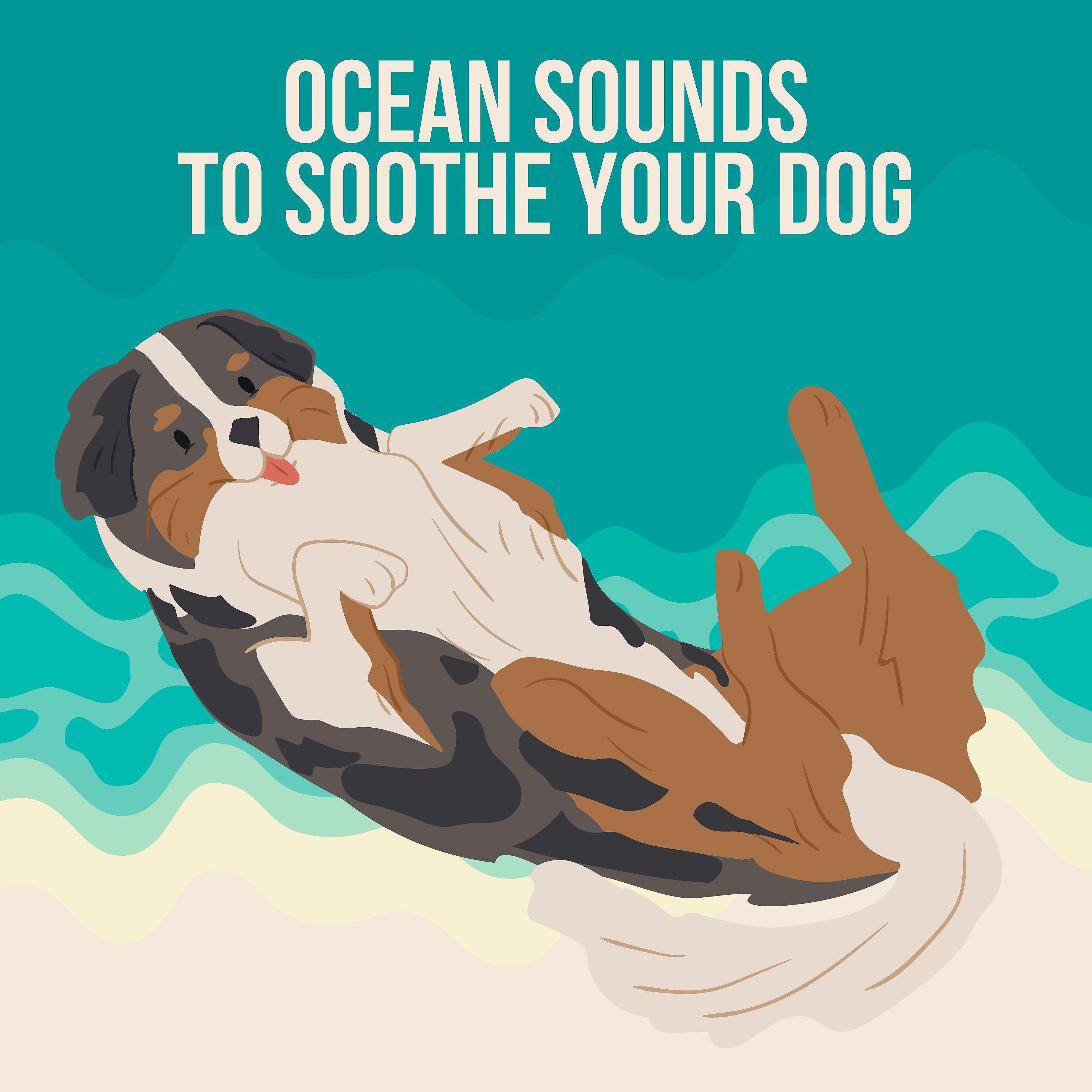Постер альбома Ocean Sounds to Soothe Your Dog