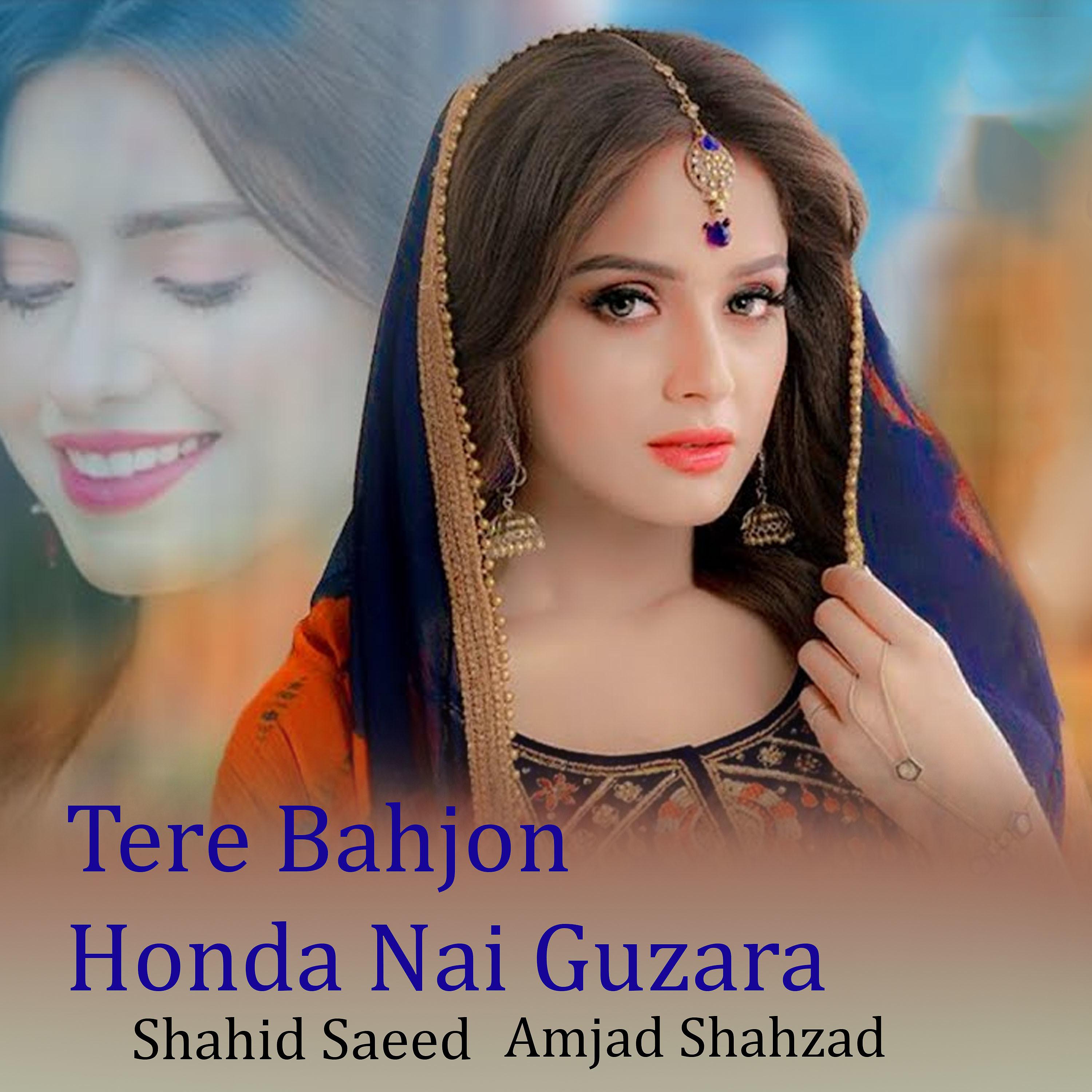 Постер альбома Tere Bahjon Honda Nai Guzara