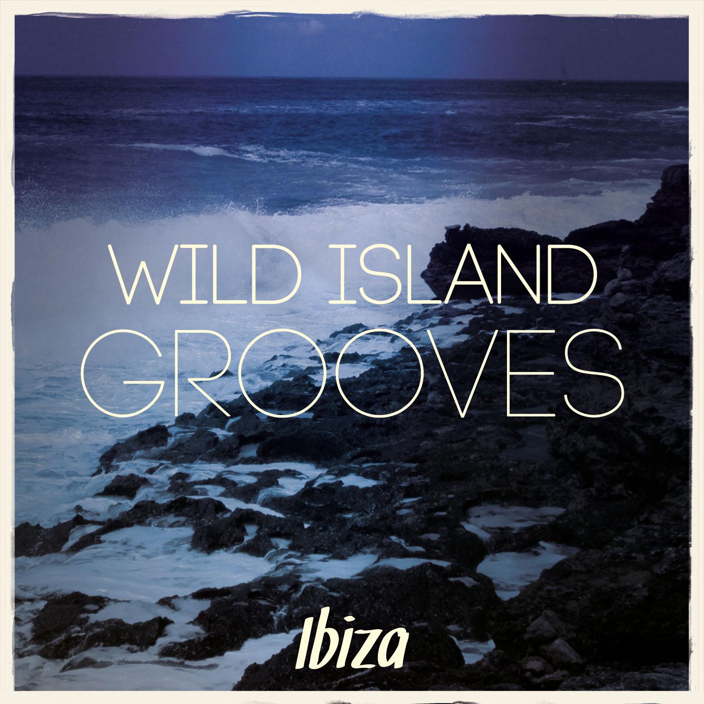 Постер альбома Wild Island Grooves - Ibiza, Vol. 1