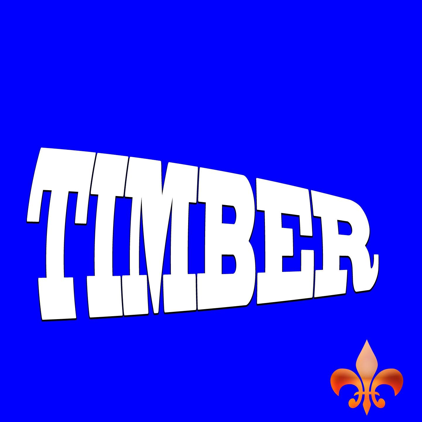 Постер альбома Timber (Tribute to Pitbull & Kesha)