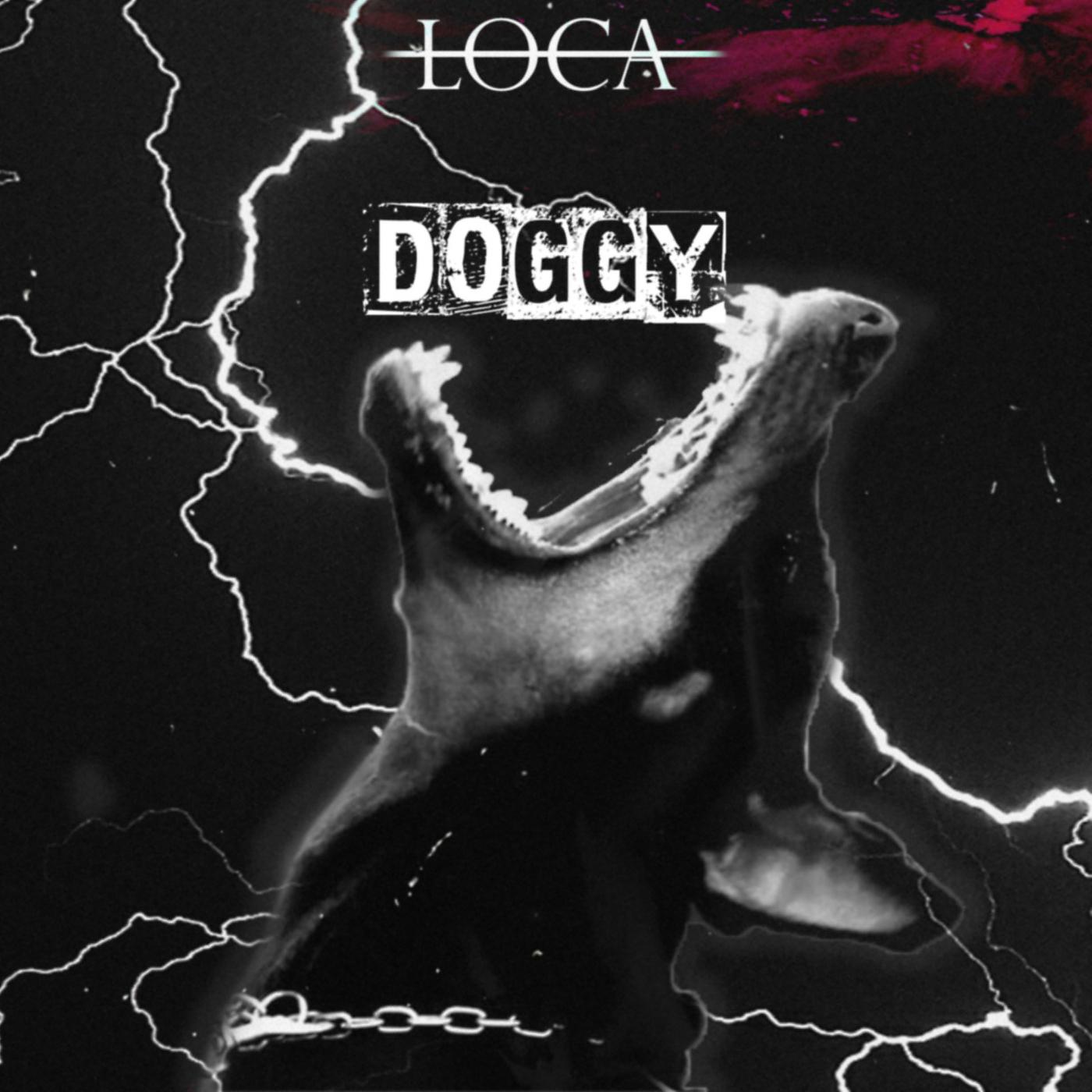 Постер альбома Doggy