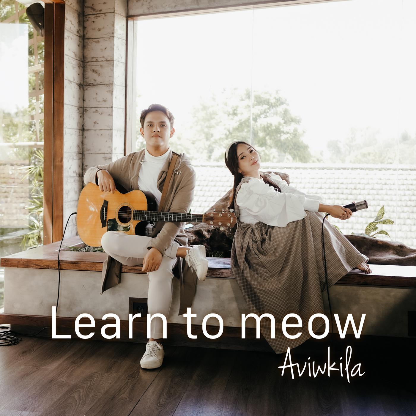 Постер альбома Learn to Meow