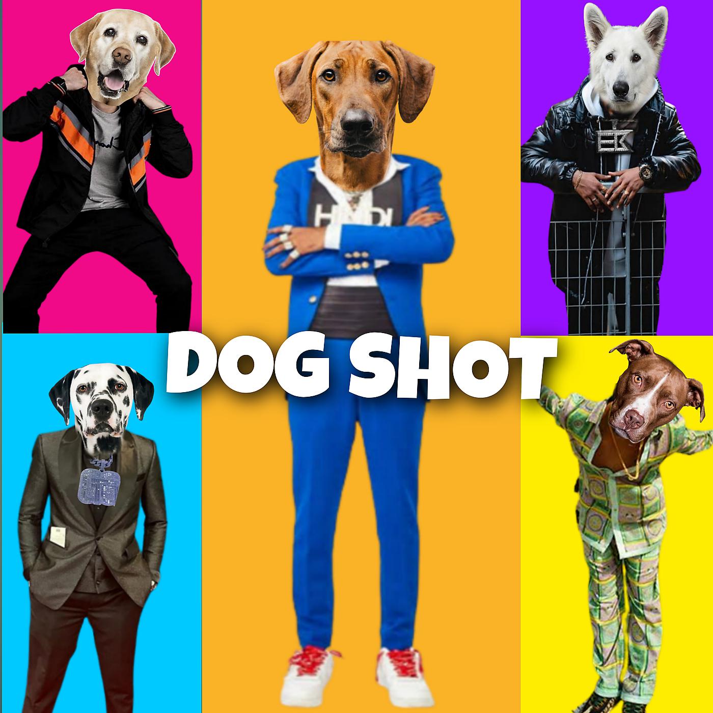 Постер альбома Dog Shot