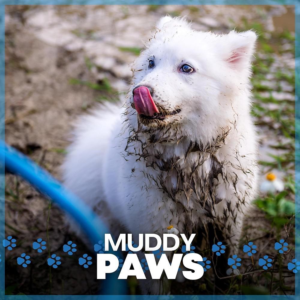 Постер альбома Muddy Paws