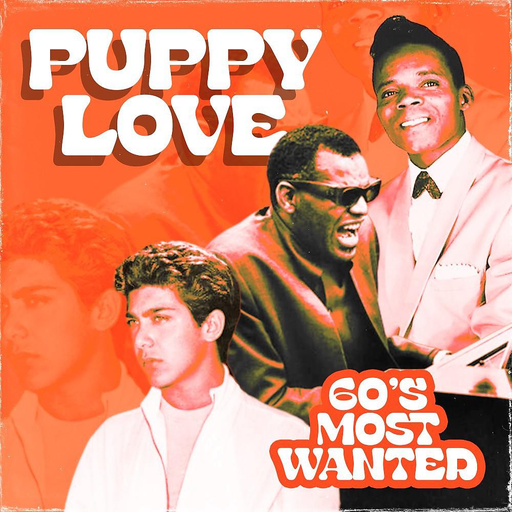 Постер альбома Puppy Love (60'S Most Wanted)