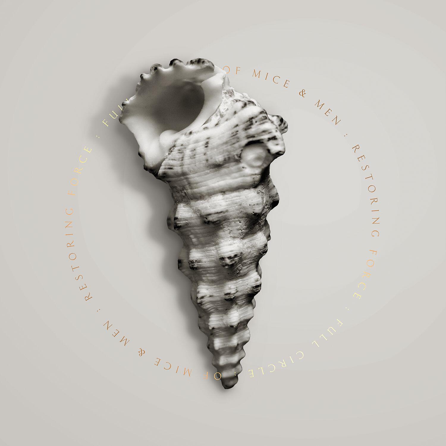 Of Mice & Men - Never Giving Up