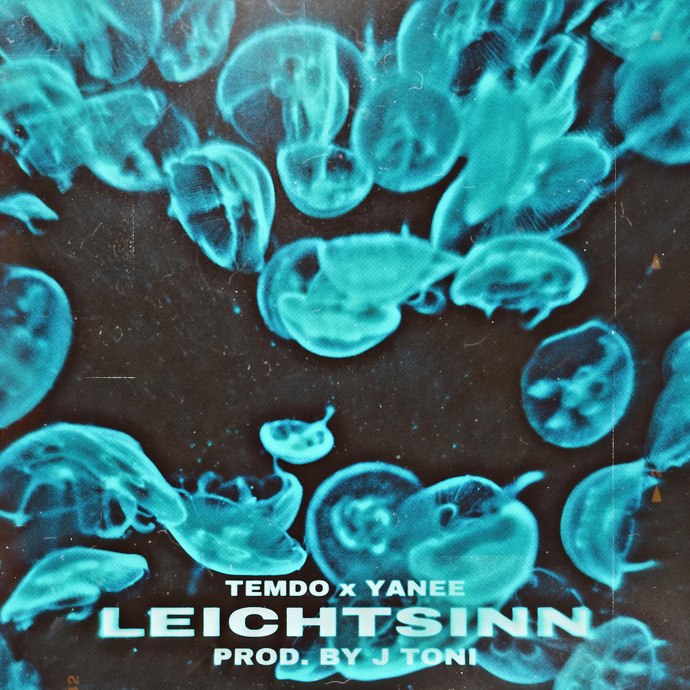 Постер альбома Leichtsinn