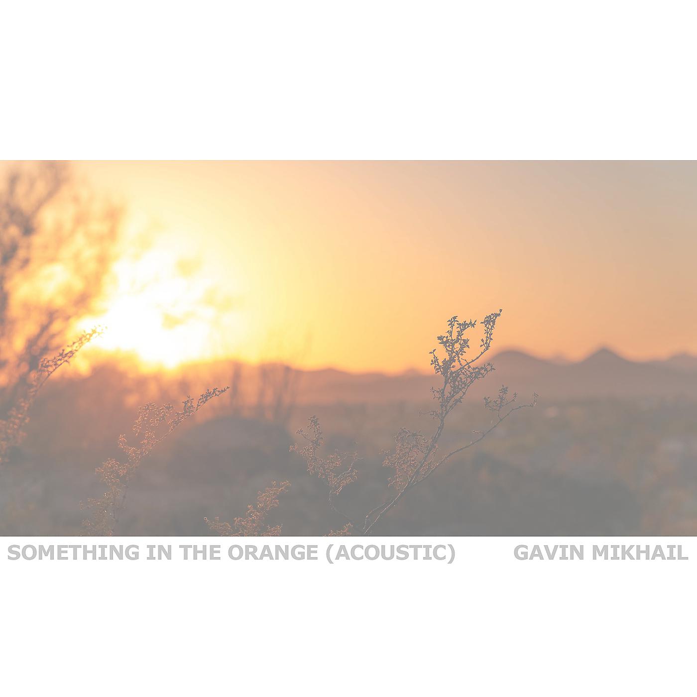 Постер альбома Something In The Orange (Acoustic)