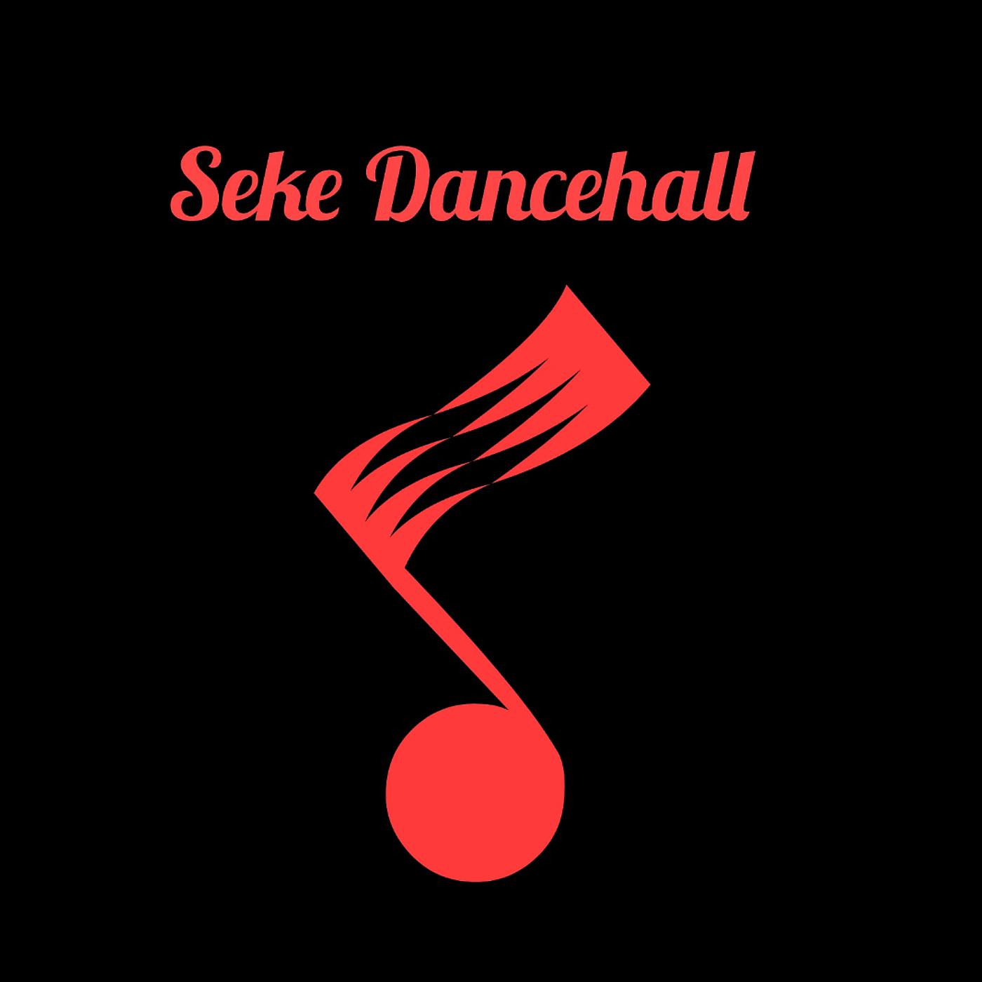 Постер альбома Seke Dancehall