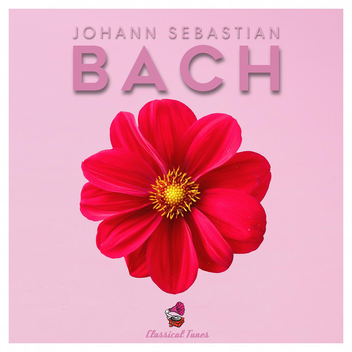 Постер альбома Bach Complete French Suites