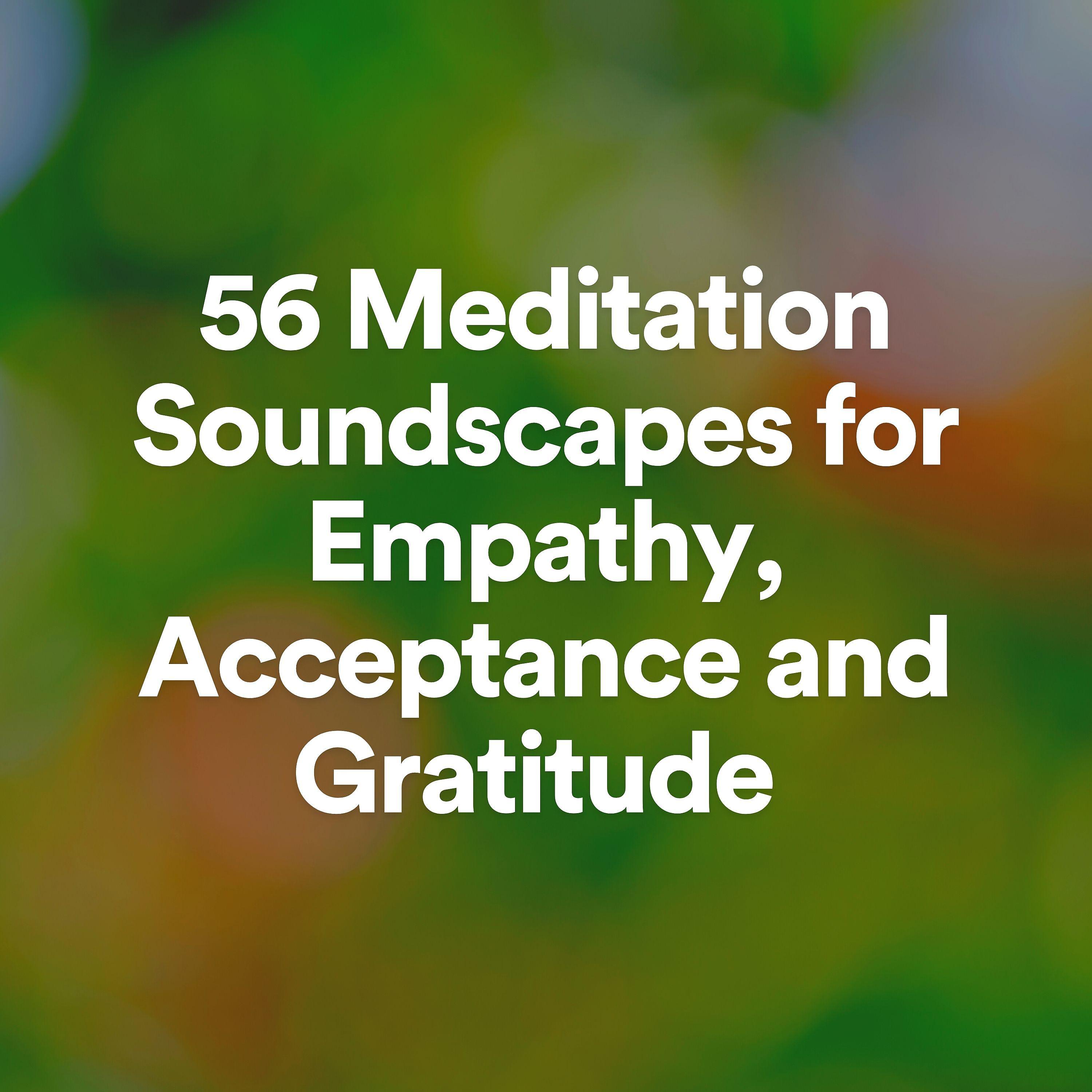 Постер альбома 56 Meditation Soundscapes for Empathy, Acceptance and Gratitude