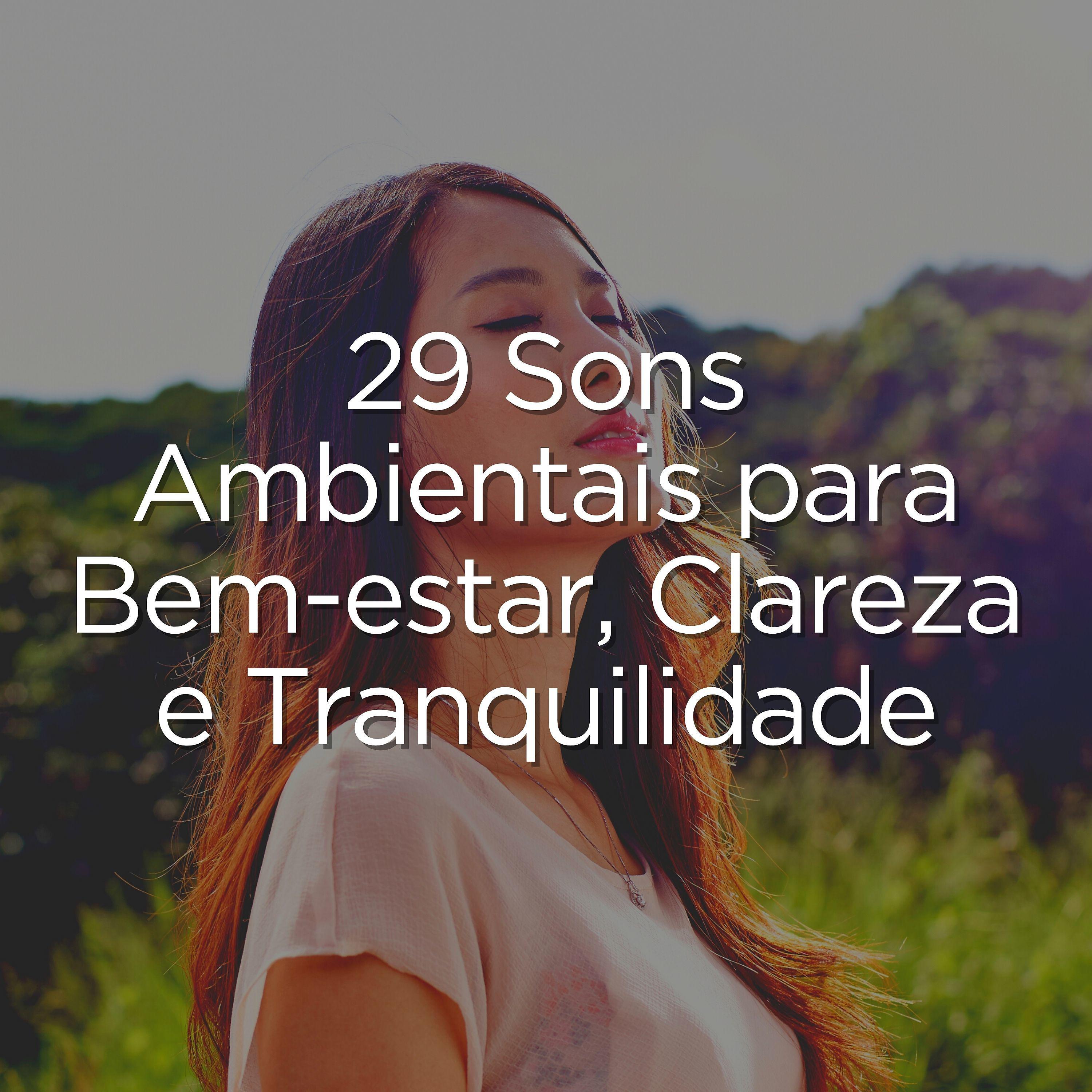Постер альбома 29 Sons Ambientais para Bem-estar, Clareza e Tranquilidade