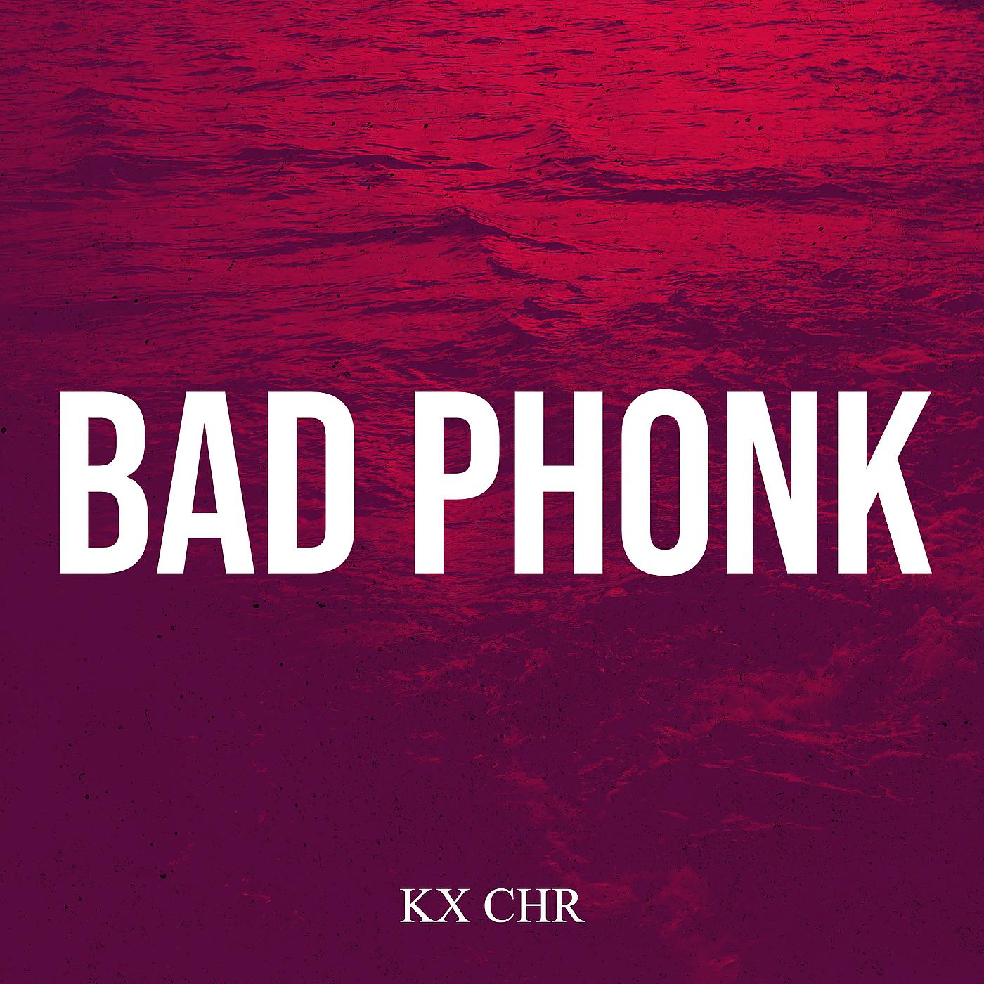 Постер альбома Bad Phonk