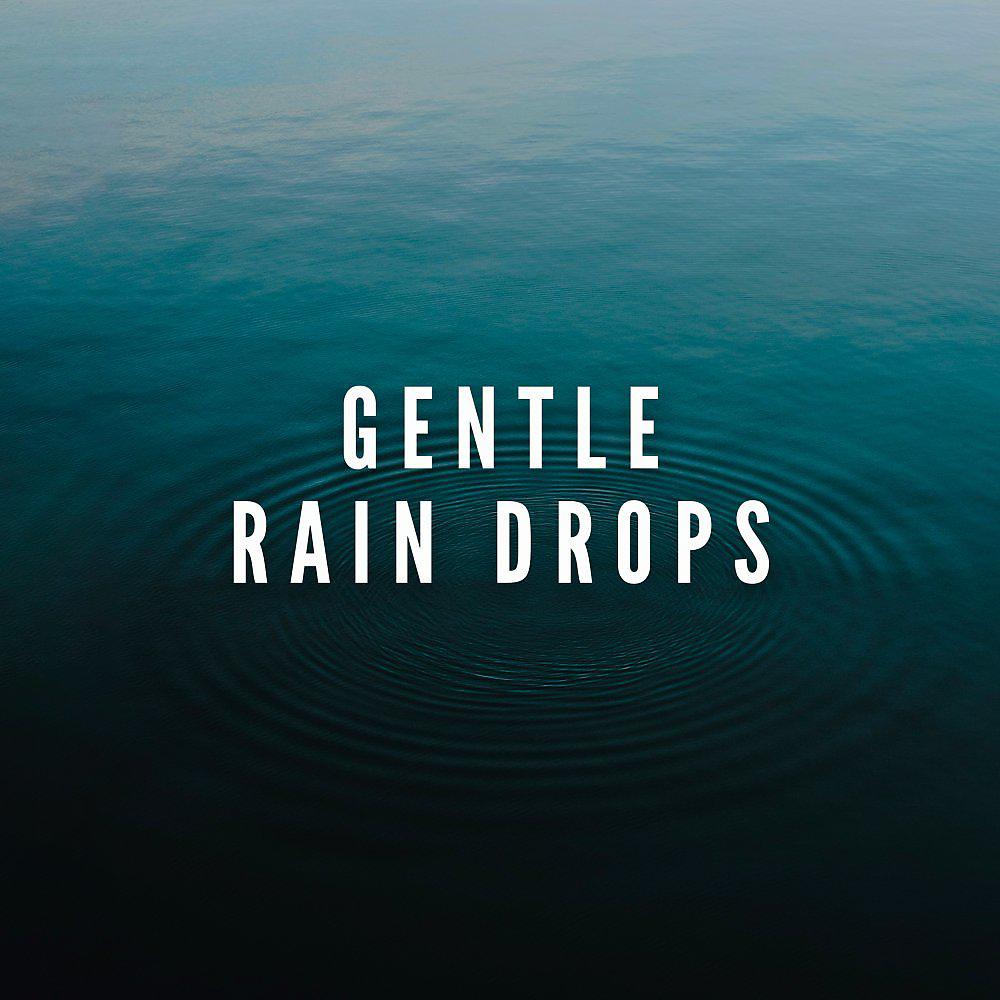 Постер альбома Gentle Rain Drops