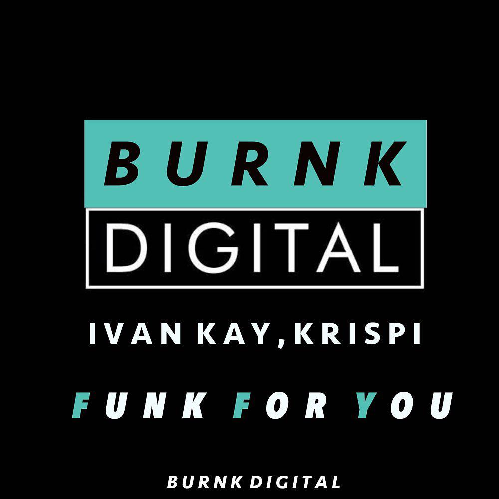Постер альбома Funk For You