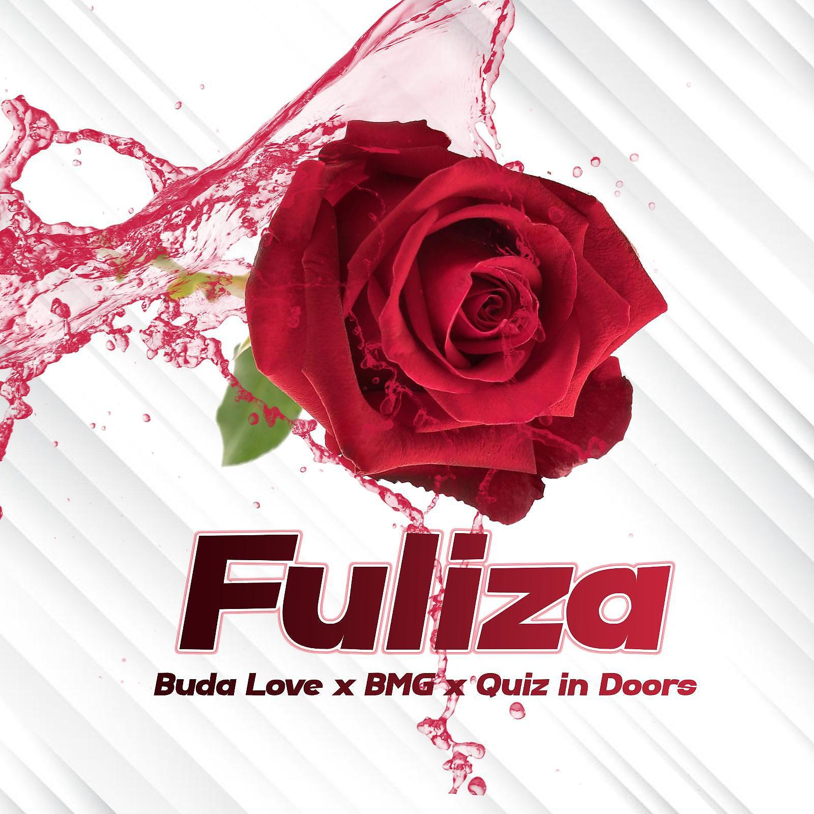 Постер альбома Fuliza (feat. Quiz In Doors & B.M.G)