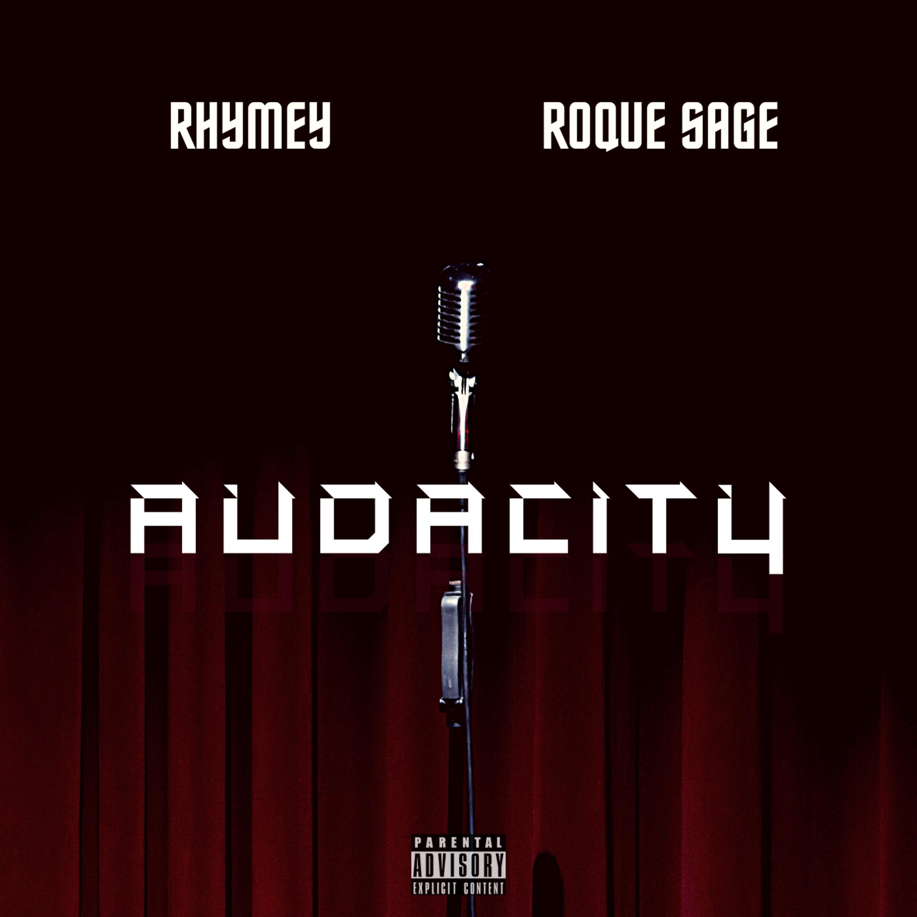 Постер альбома Audacity (feat. Roque Sage)