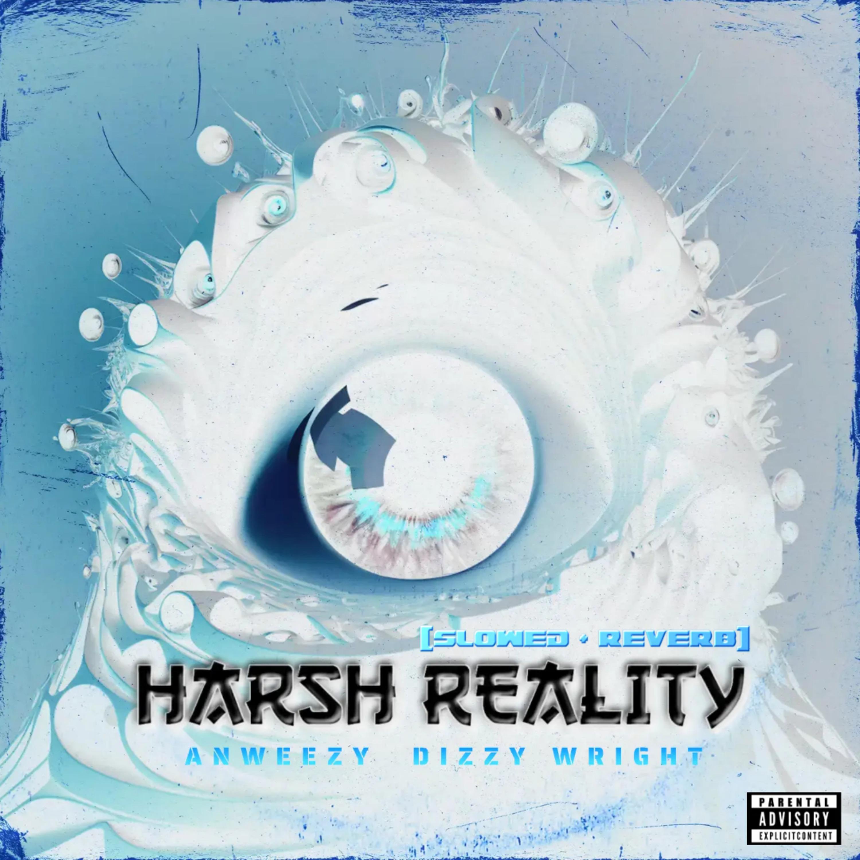 Постер альбома Harsh Reality (Slowed + Reverb) (feat. Dizzy Wright)