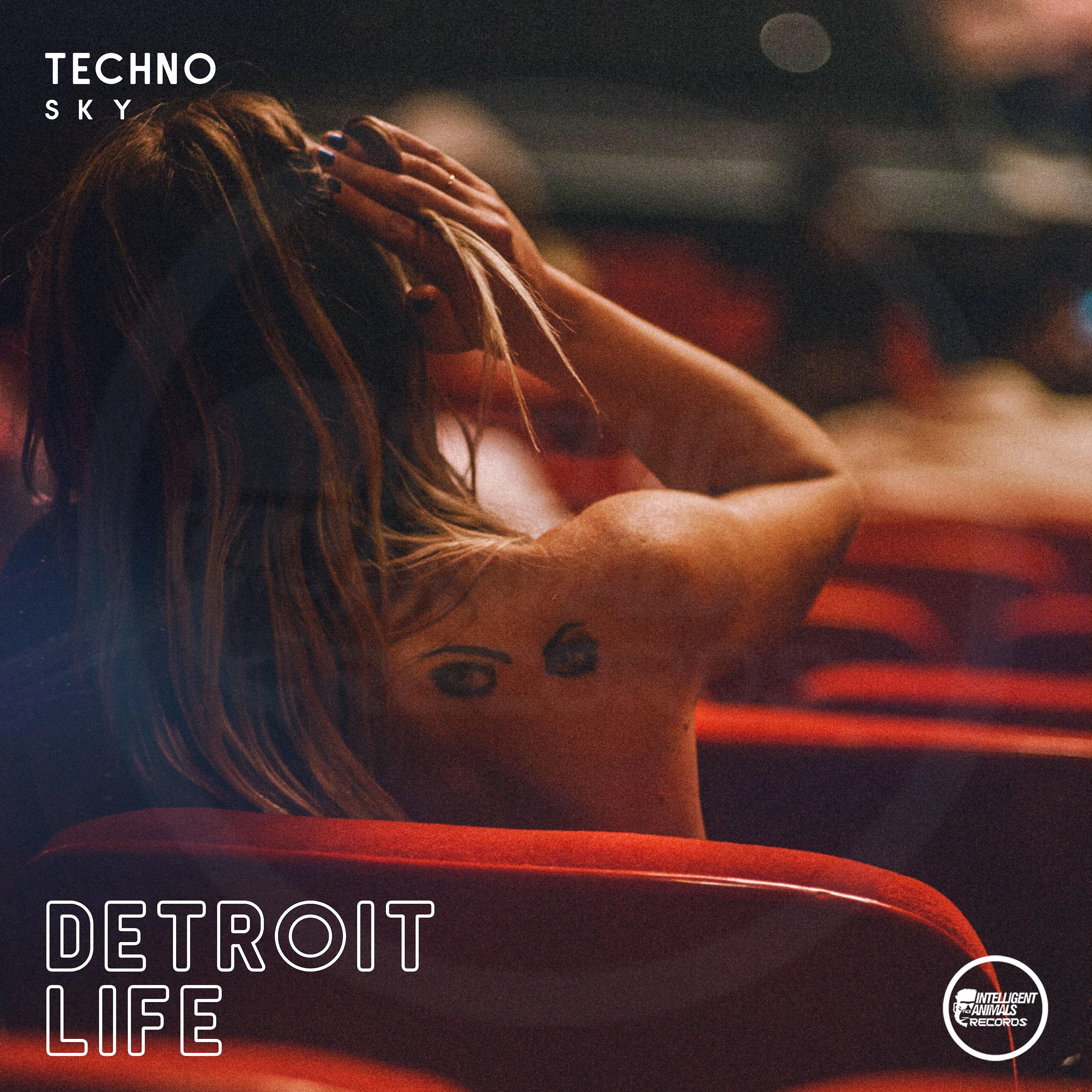 Постер альбома Detroit Life