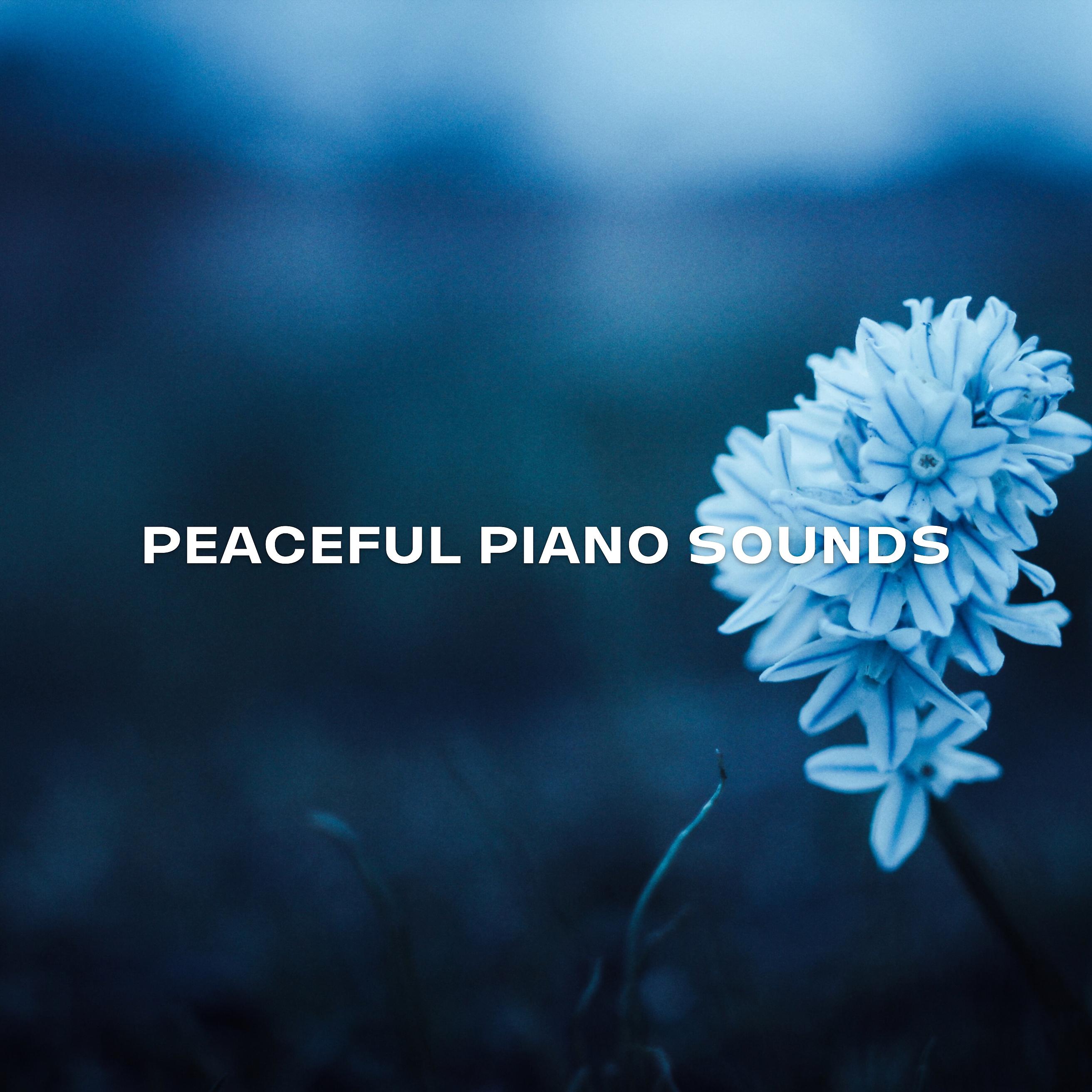 Постер альбома Peaceful Piano Sounds