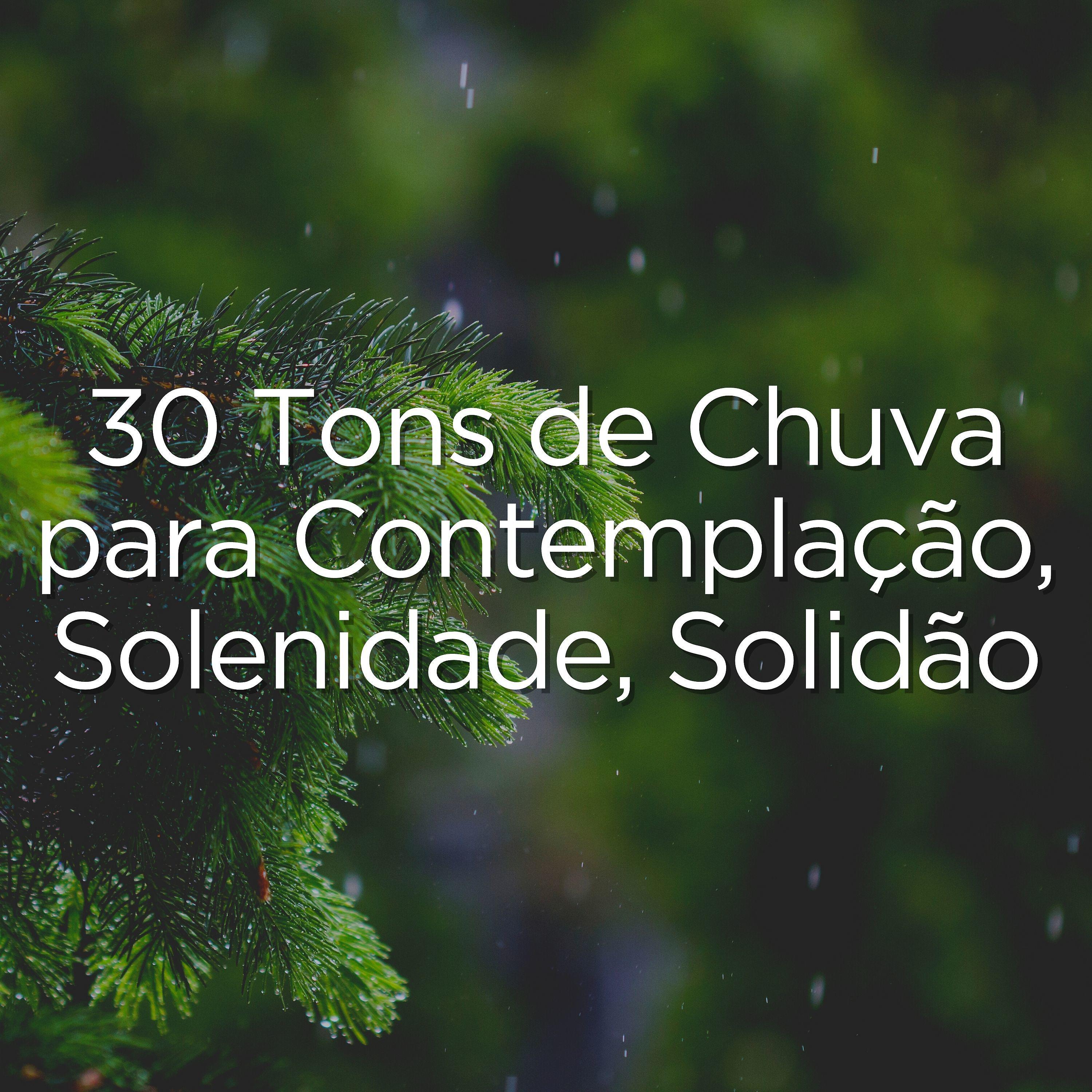 Постер альбома 30 Tons de Chuva para Contemplação, Solenidade, Solidão