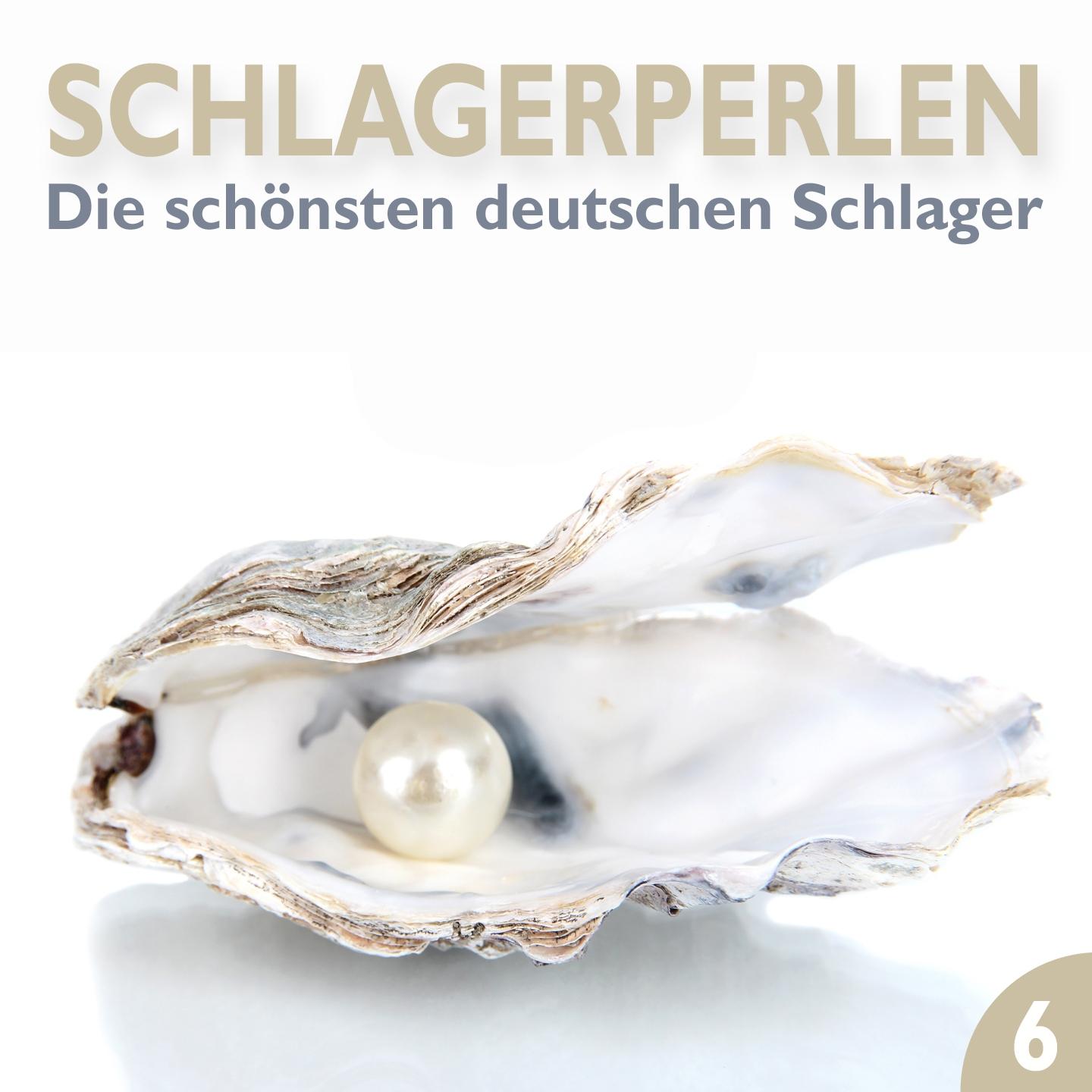Постер альбома Schlagerperlen, Vol. 6 (Die schönsten deutschen Schlager)