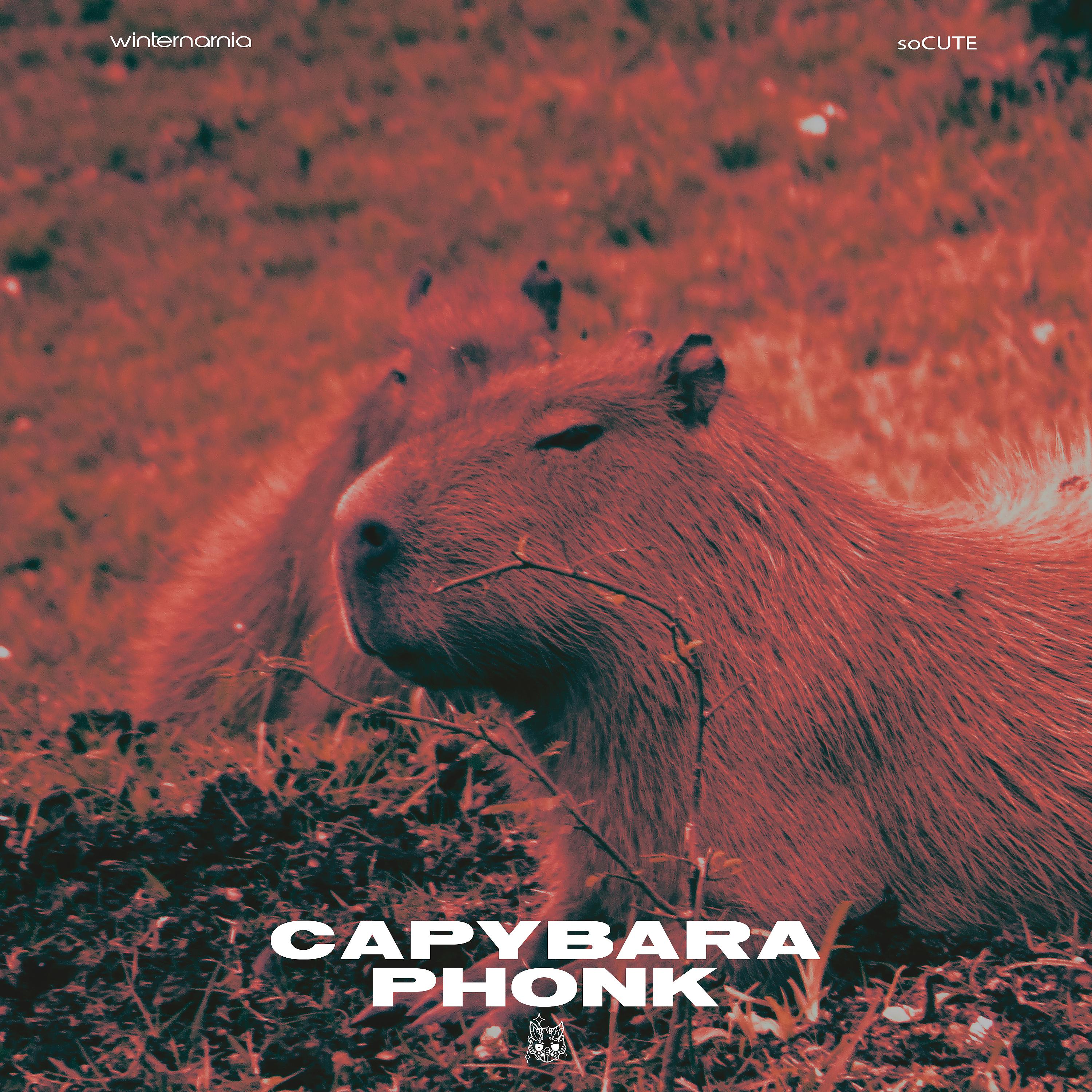 Постер альбома CAPYBARA PHONK